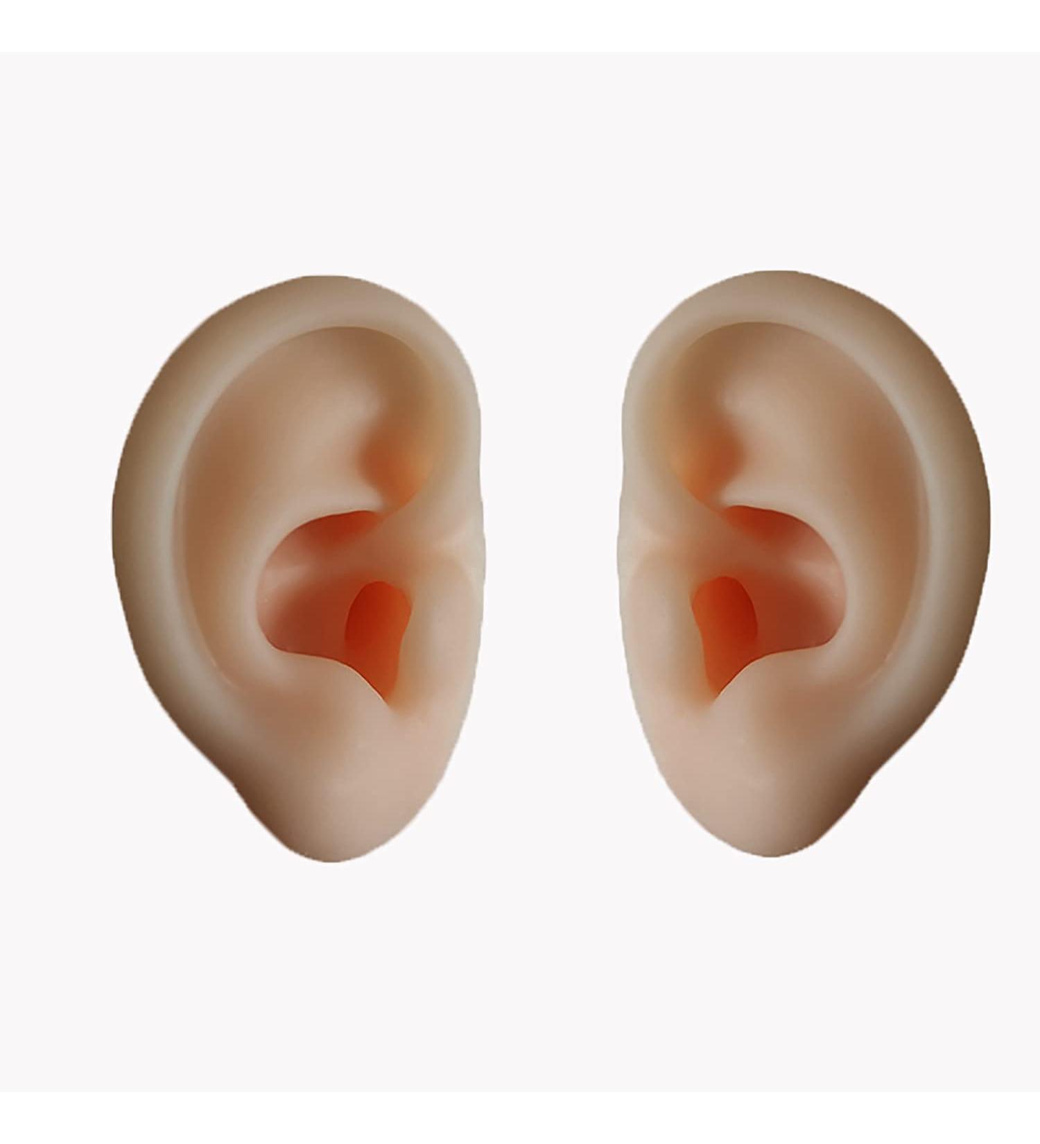Soft Silicone Human Ear Simulation Model Learning Accessory for Ear Extraction of The Hearing Conduit Suitable for Visual Extraction Practice - Buy Online on SooperMarket.com