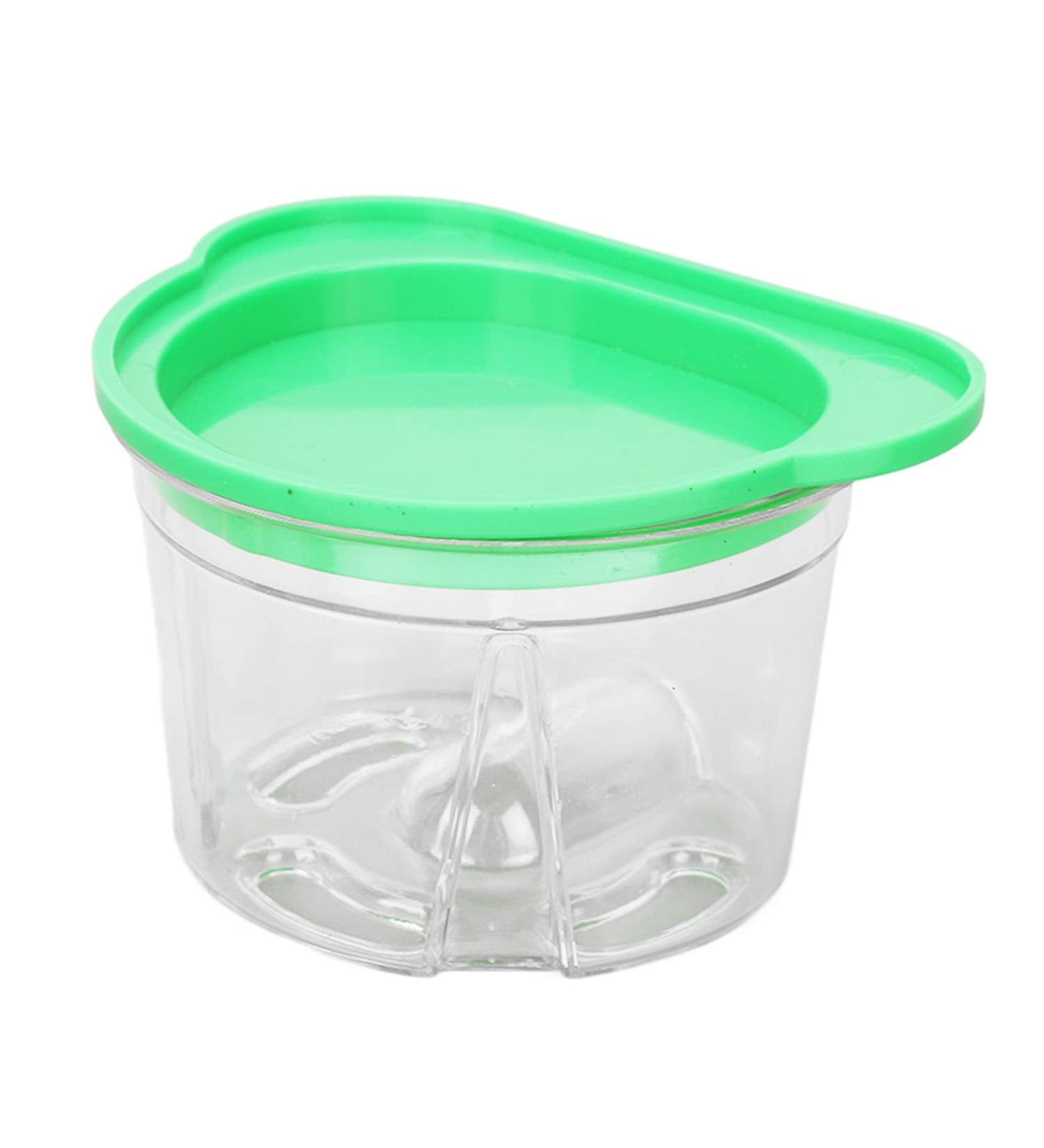 Herchr Prosthesis Case | Plastic Storage Box for False Teeth & Agar Replication Models | International Shipping - Buy Online on SooperMarket.com
