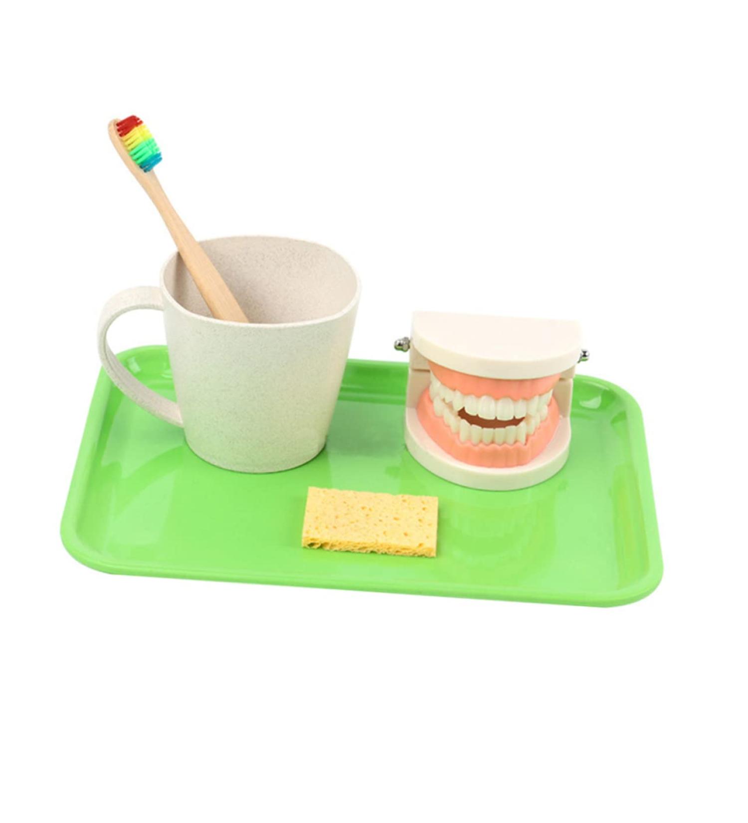 Buy Healvian 1 Set Early Dental Education Toy - Prosthesis Model for Toddlers | Reusable ABS Experience Learning - Buy Online on SooperMarket.com