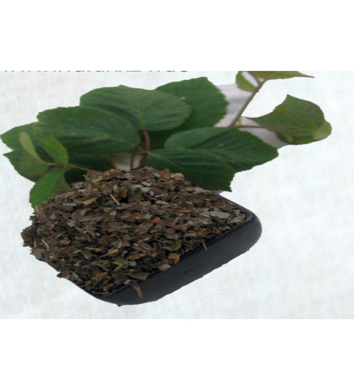Krauterino24 - Blackberry leaves cut fermented quantity: 250g