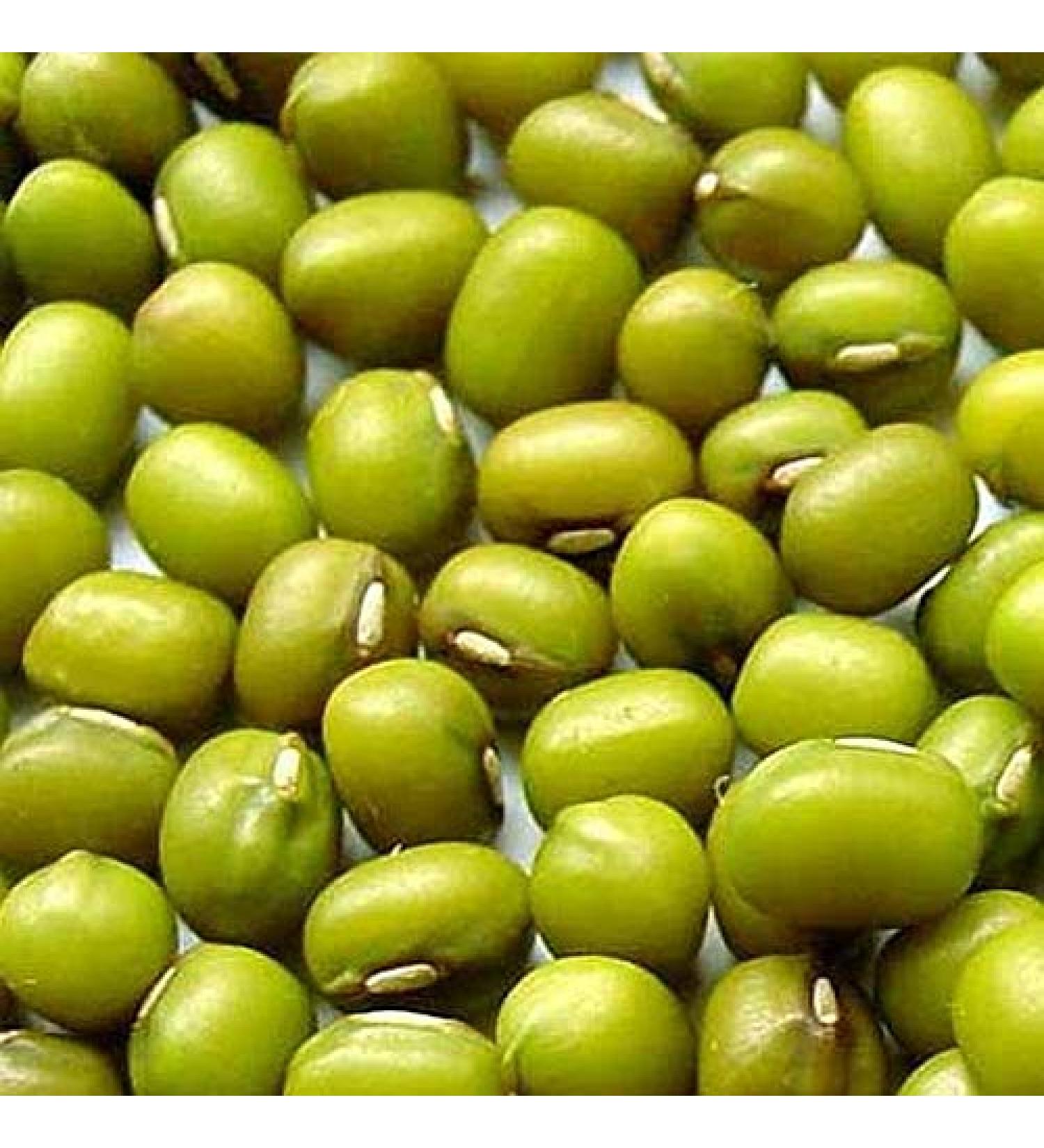 Germinazione dei semi: 2 Borse di Fagioli Mung - 12 OZ bis crescere i germogli Cibo cinese Bean nutrious