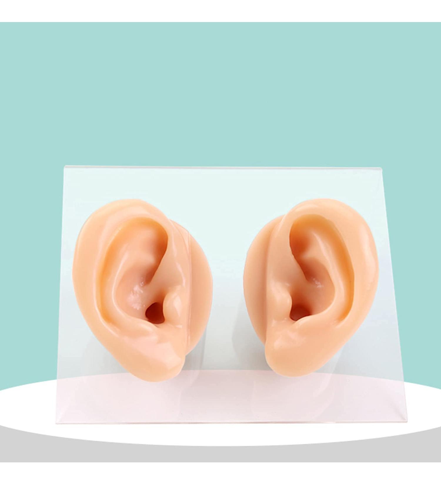 Ear Model A Pair - Professional Simulated Ear Template Imitation Soft Soft Silicone Soft Ear Display Products Actual Ear Mold Sample - Buy Online on SooperMarket.com