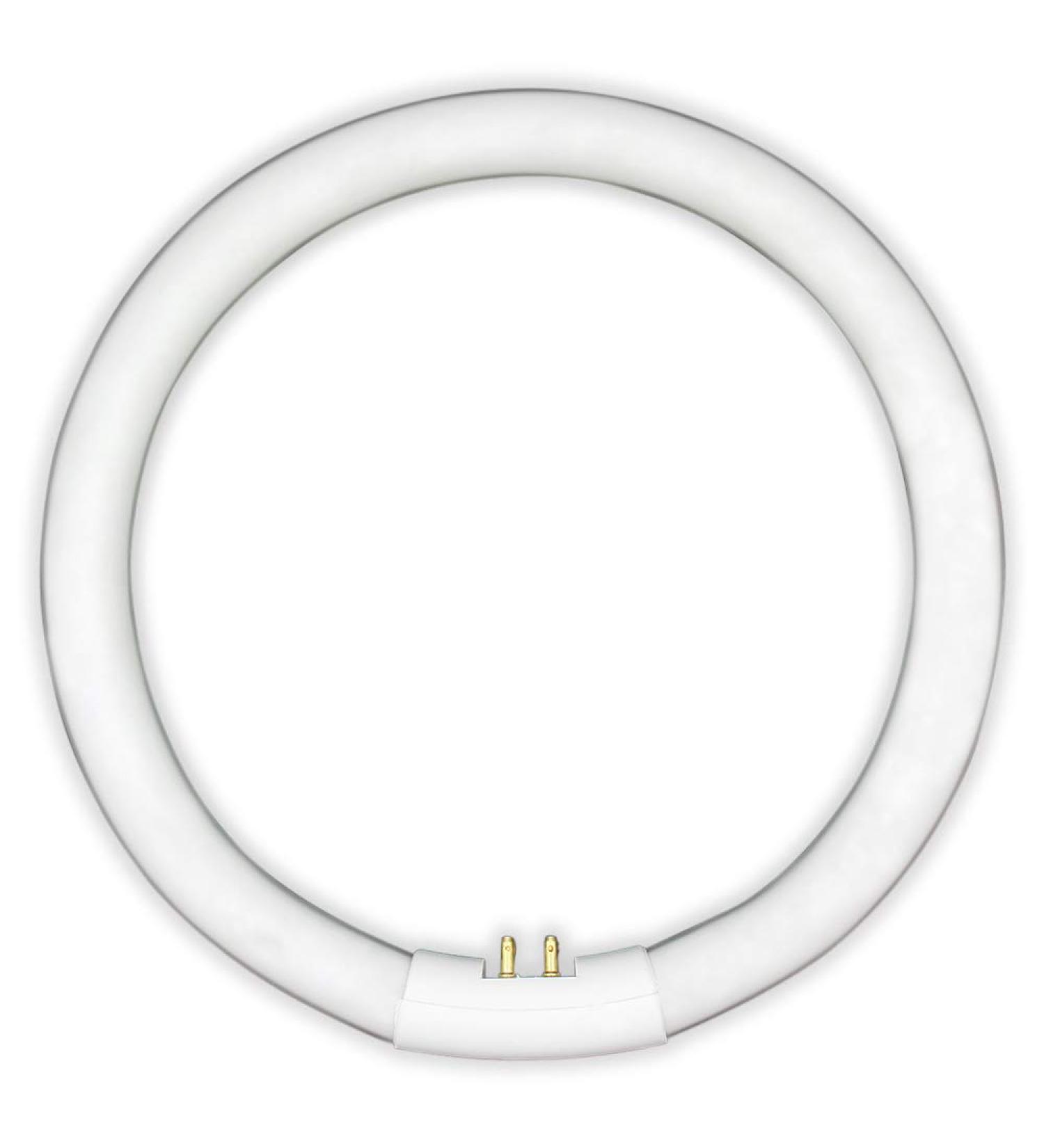 T5 22W Circular Bulb Replacement for Zadro 7-in Surround Light by Technical Precision Replacement Bulb for Lighted Mirror / Makeup Mirror - G10Q-4 4-Pin Base - 6500K Cool Daylight - 12000 Hours - Buy Online on SooperMarket.com