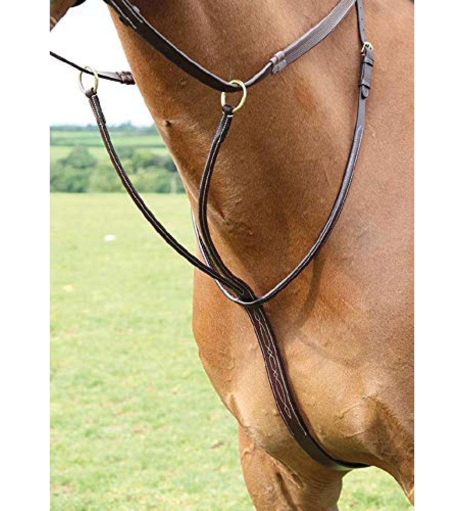 Shires Salisbury Running Martingale-Black Pony