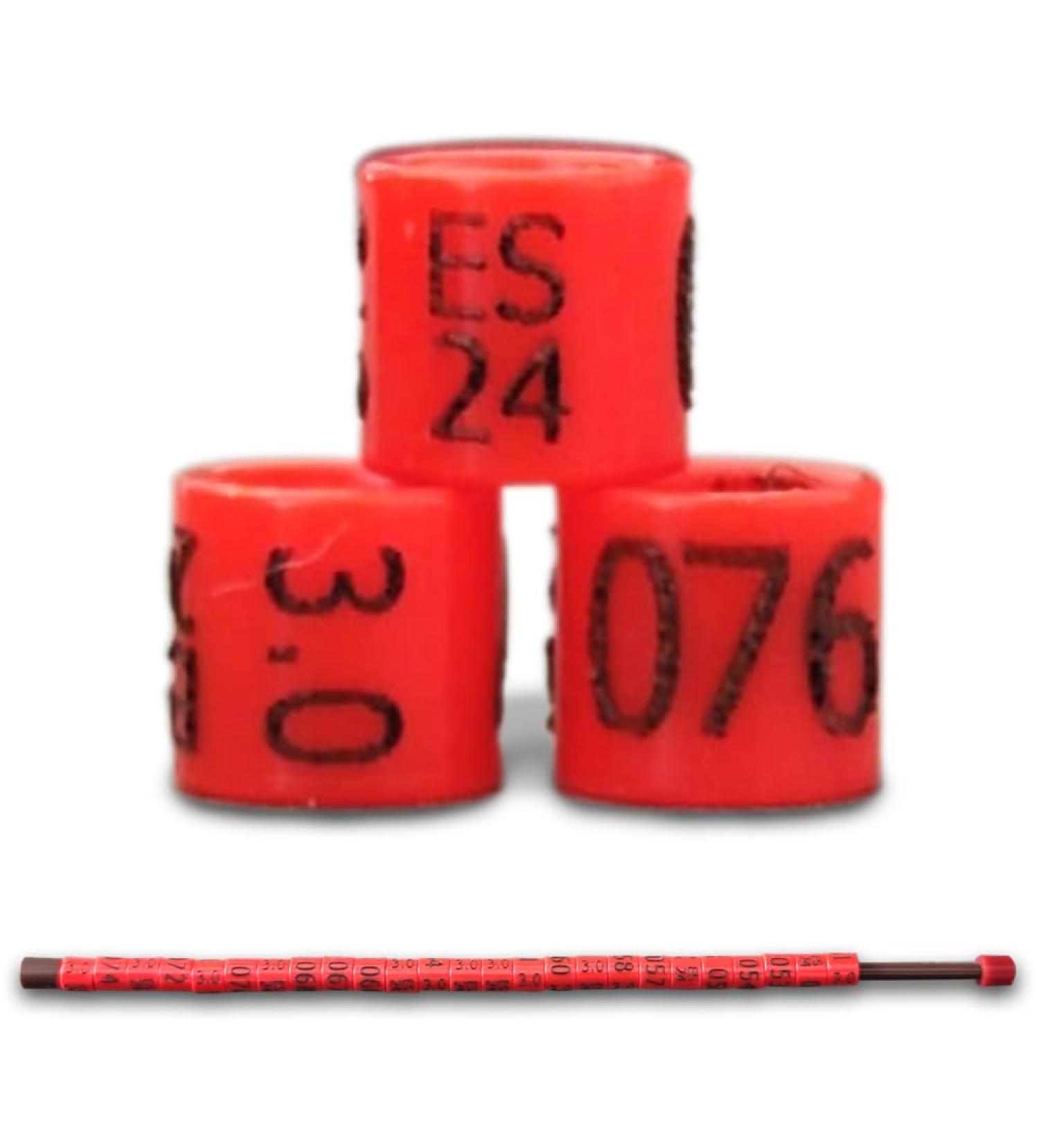 NestQ Rings Canary 2024 Federative Red Polychrome Laser Engraved Closed 3mm Numbered with Year Marked 1 Strip 25 Rings - Buy Online on SooperMarket.com