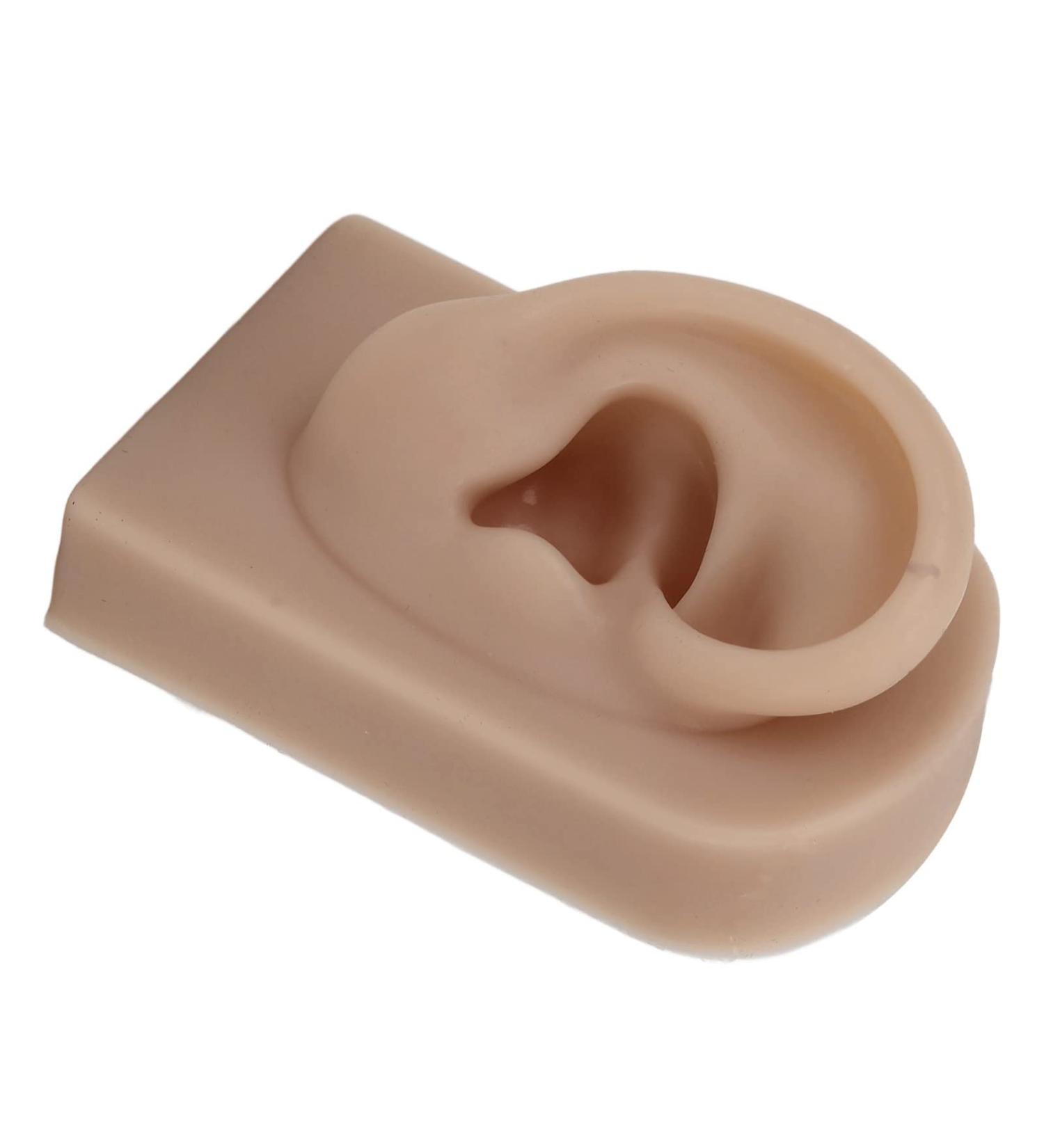 Flexible Brown Right Ear Model for Earrings Display and Acupuncture Training - Buy Online on SooperMarket.com