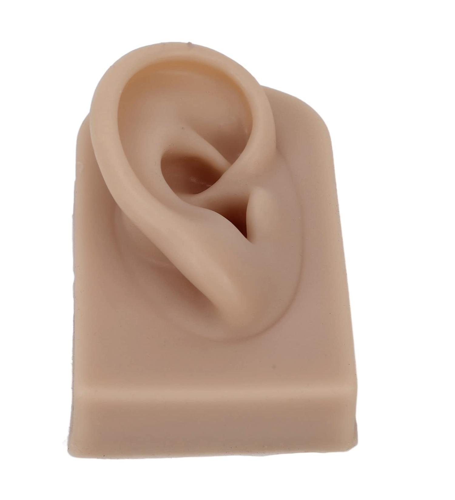 Reusable Human Ear Model - Right Ear for Piercing Training & Display (Brown) - Buy Online on SooperMarket.com
