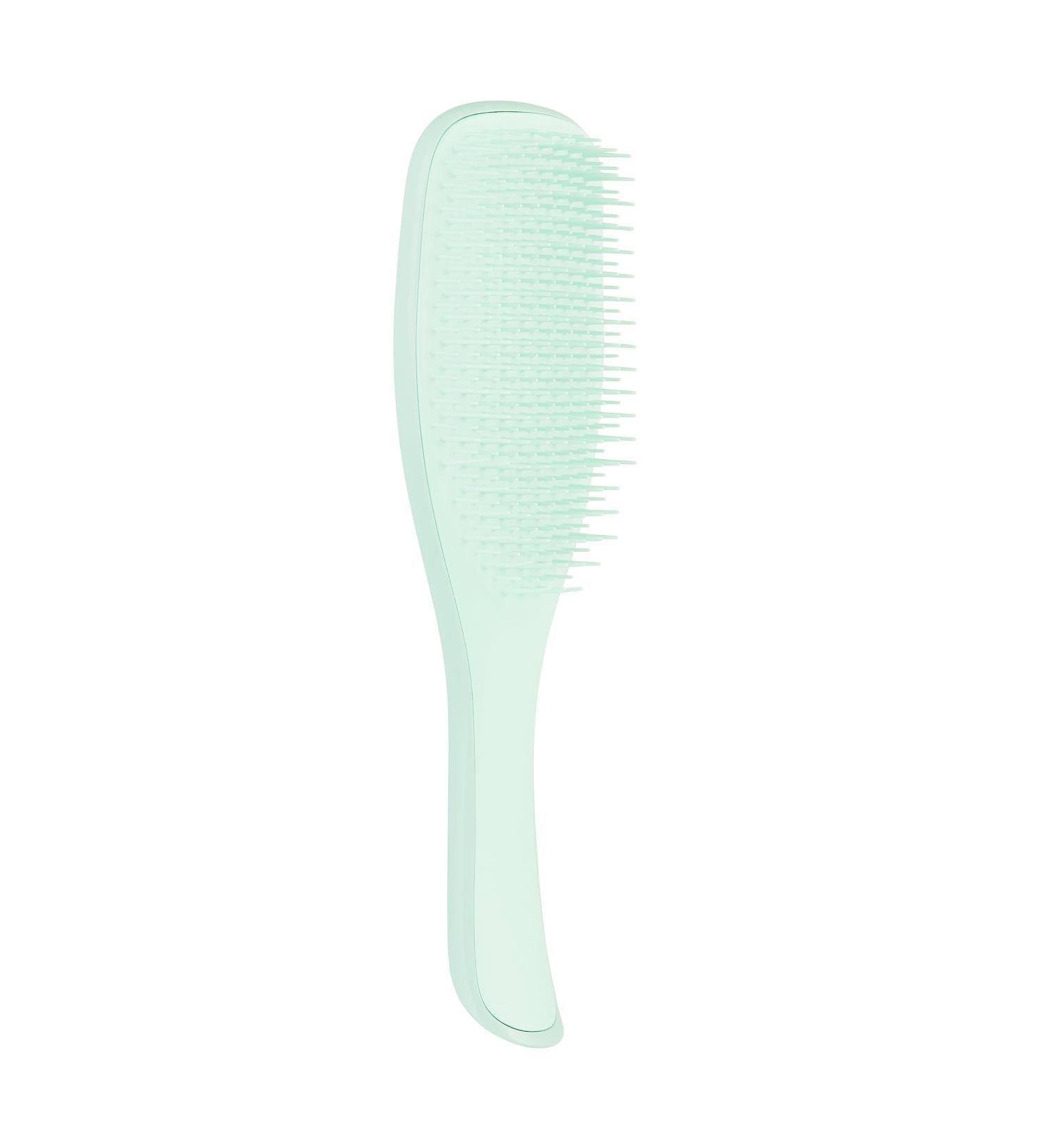 Tangle Teezer The Wet Detangler Hairbrush for Fine & Brittle Hair - Jade Lagoon | International Shipping | Shop Now! - Buy Online on SooperMarket.com