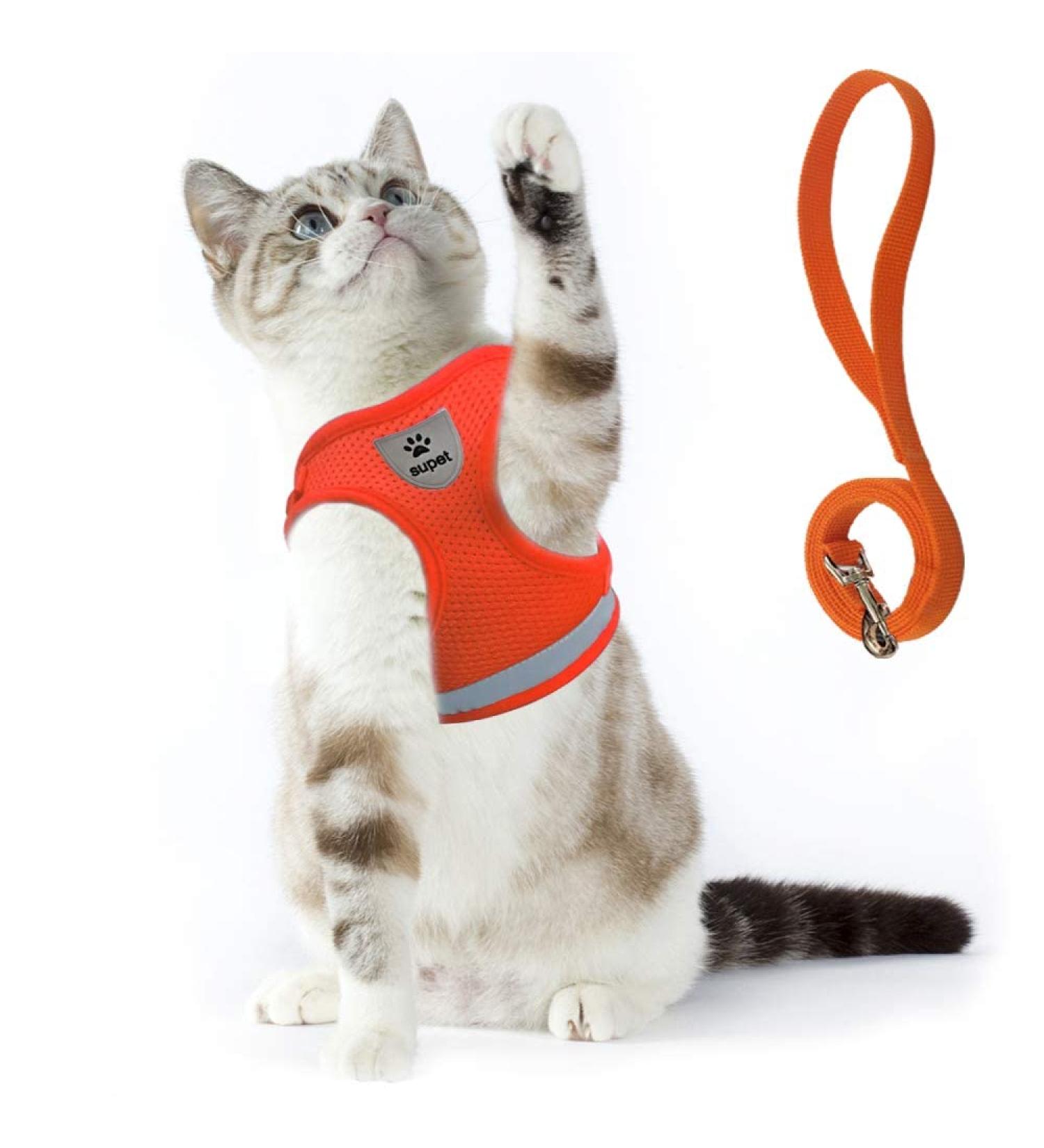 Supet Cat Dishes & Soft Vest Set for Cats & Small Dogs - Adjustable Leash Breakfast Collection Medium (33-38 cm) - Orange - Buy Online on SooperMarket.com