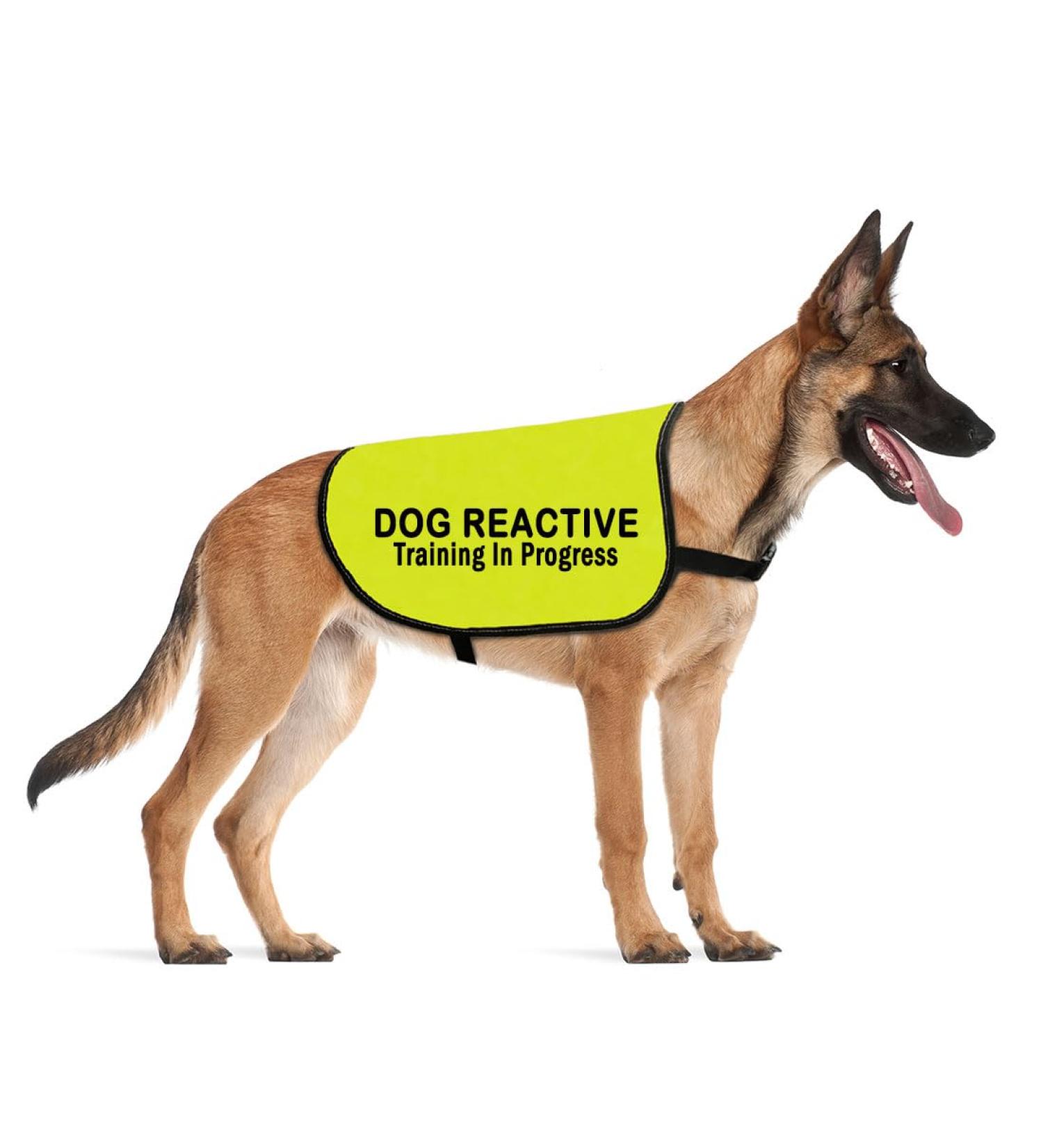 Reactive Dog Jacket Vest Dog Reactive Dog Training/Reactive Not Aggressive Service Dog Slogan Warning Vest (REACTIVE Training L EU) - Buy Online on SooperMarket.com