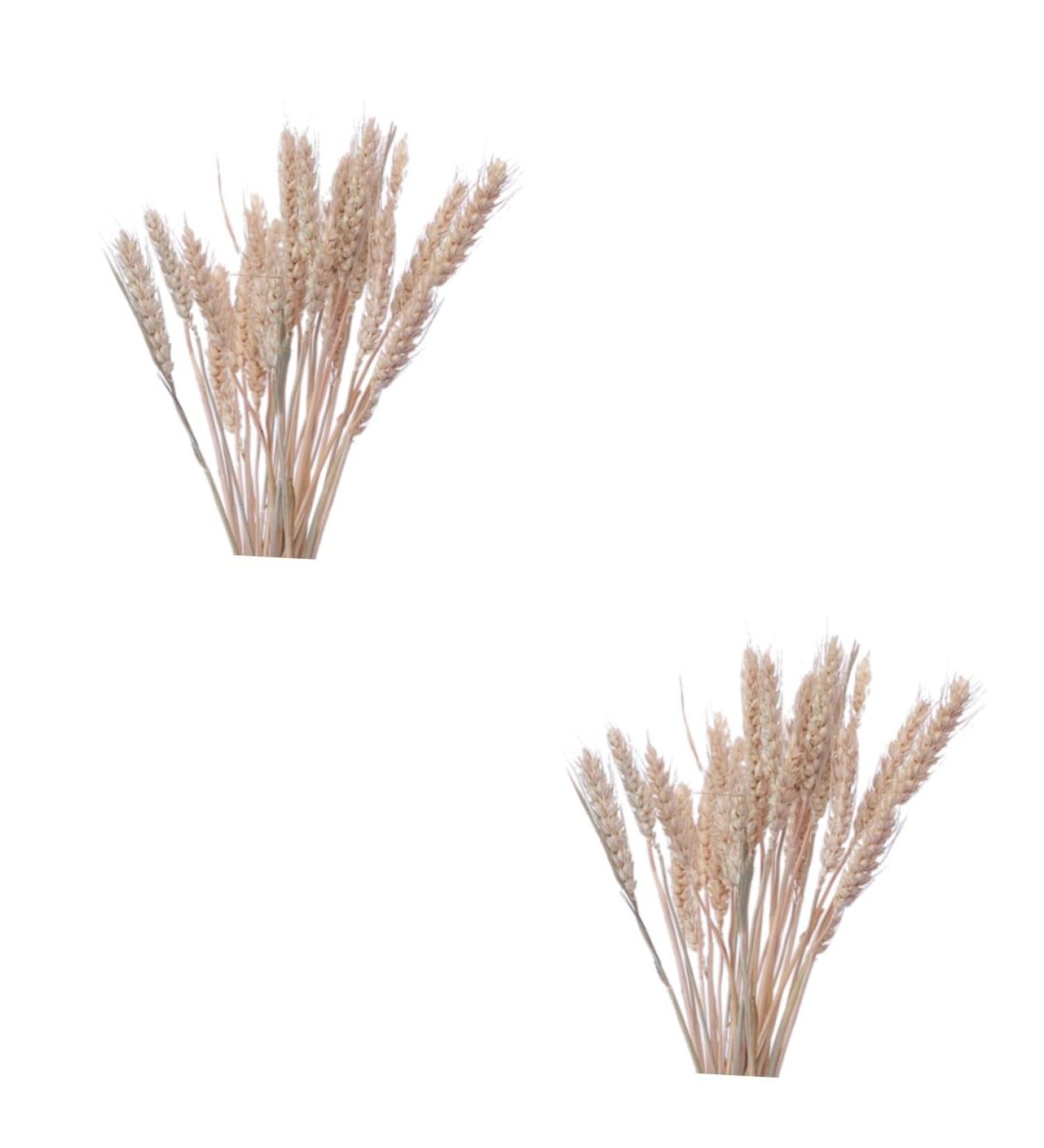 Cabilock Natural Dried Flowers 30 Pcs Natural Artificial Flower Decorative Artificial Flower As Shownx2pcs mediumx2pcs - Buy Online on SooperMarket.com