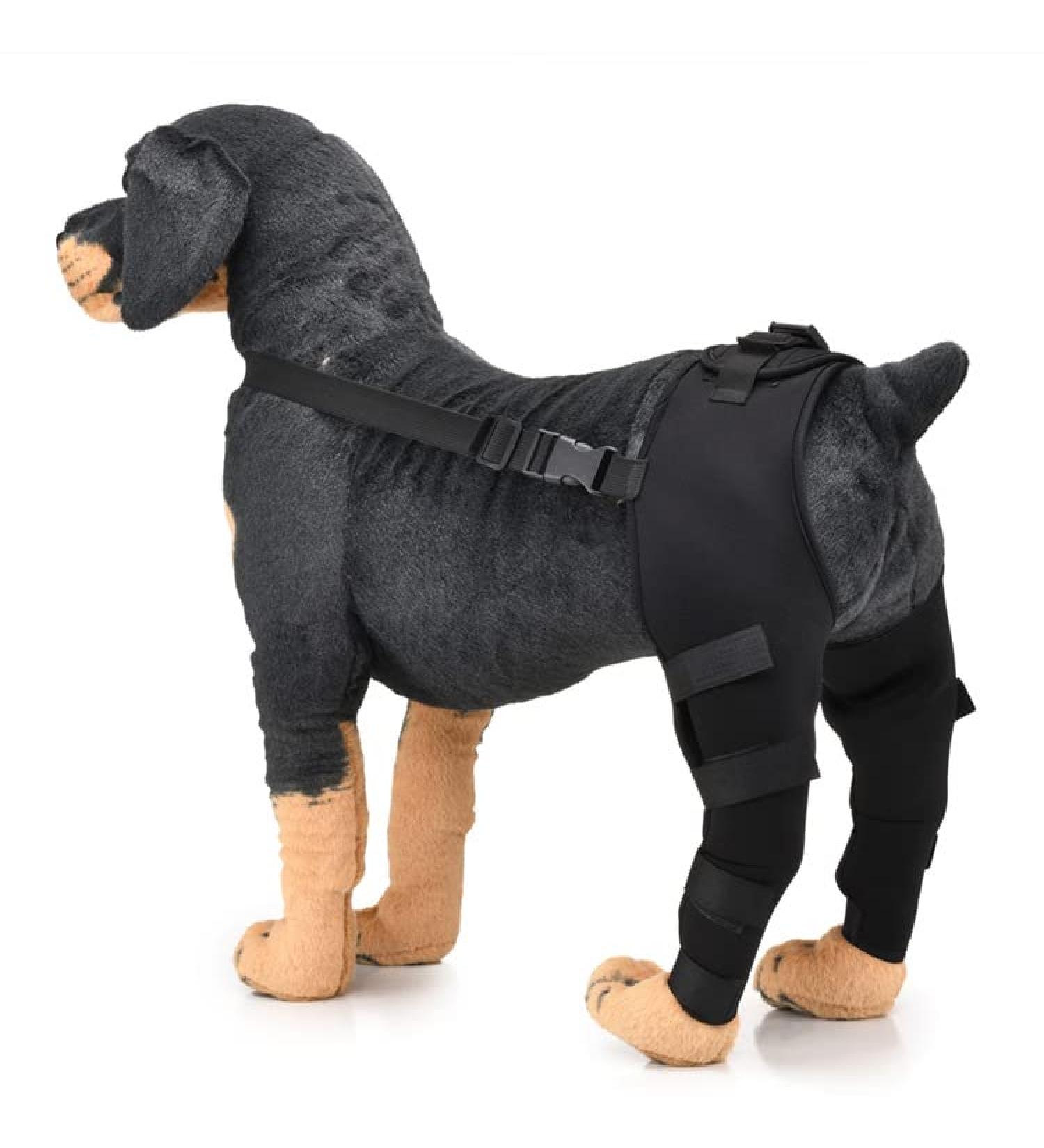 Pet Dog Knee Brace ACL Brace for Dogs Rear Leg Dog Braces for Back Leg for Support for Heals Prevents Injuries Sprains Black Small Small Black - Buy Online on SooperMarket.com