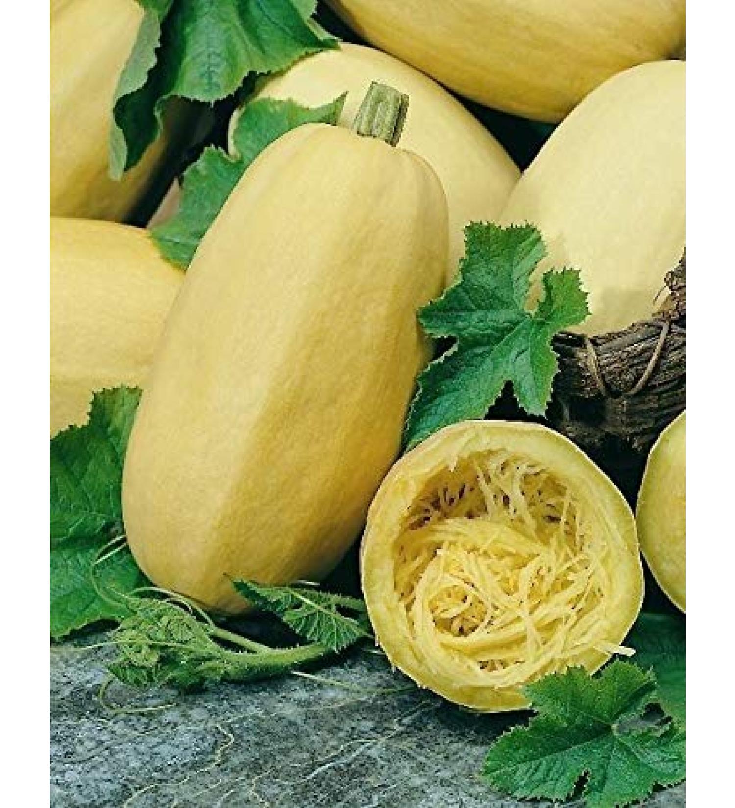 Portal Cool Verdure - Zucca invernale - Spaghetti - 40 Semi - Grande