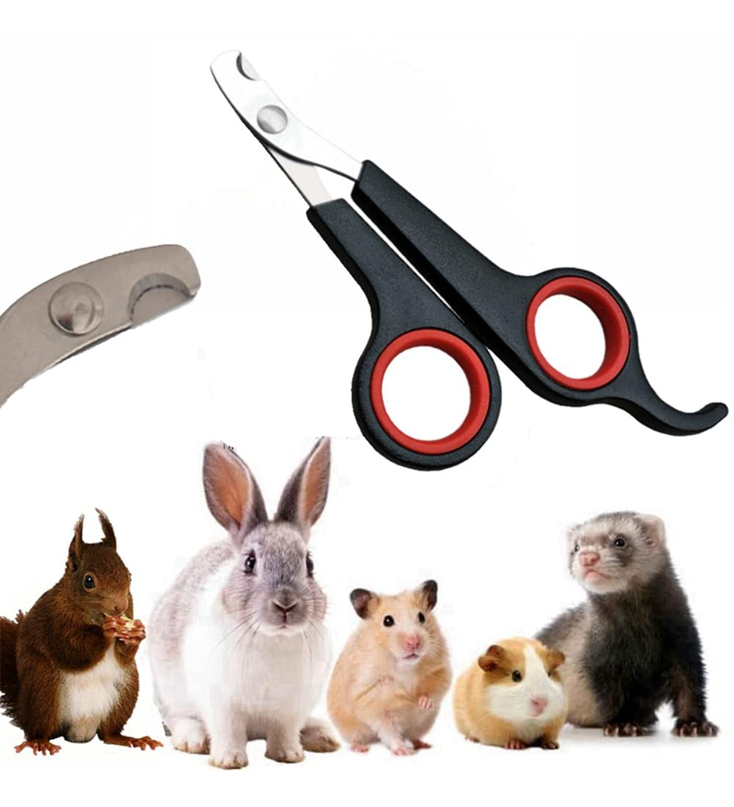 Professional Rabbit Nail Clippers: Stainless Steel Claw Trimmer for Small Animals - Guinea Pig, Ferret, Hamsters, Chinchilla, Sugar Glider - Grooming Supplies - Black - Buy Online on SooperMarket.com
