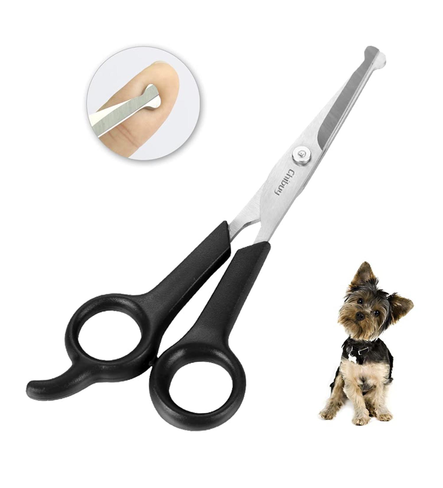 Chibuy Professional Pet Grooming Scissors | Round Tip Stainless Steel Dog Eye Cutter for Dogs and Cats | Professional Grooming Tool | Size 6.70 x 2.6 x 0.43 | Grey - Buy Online on SooperMarket.com