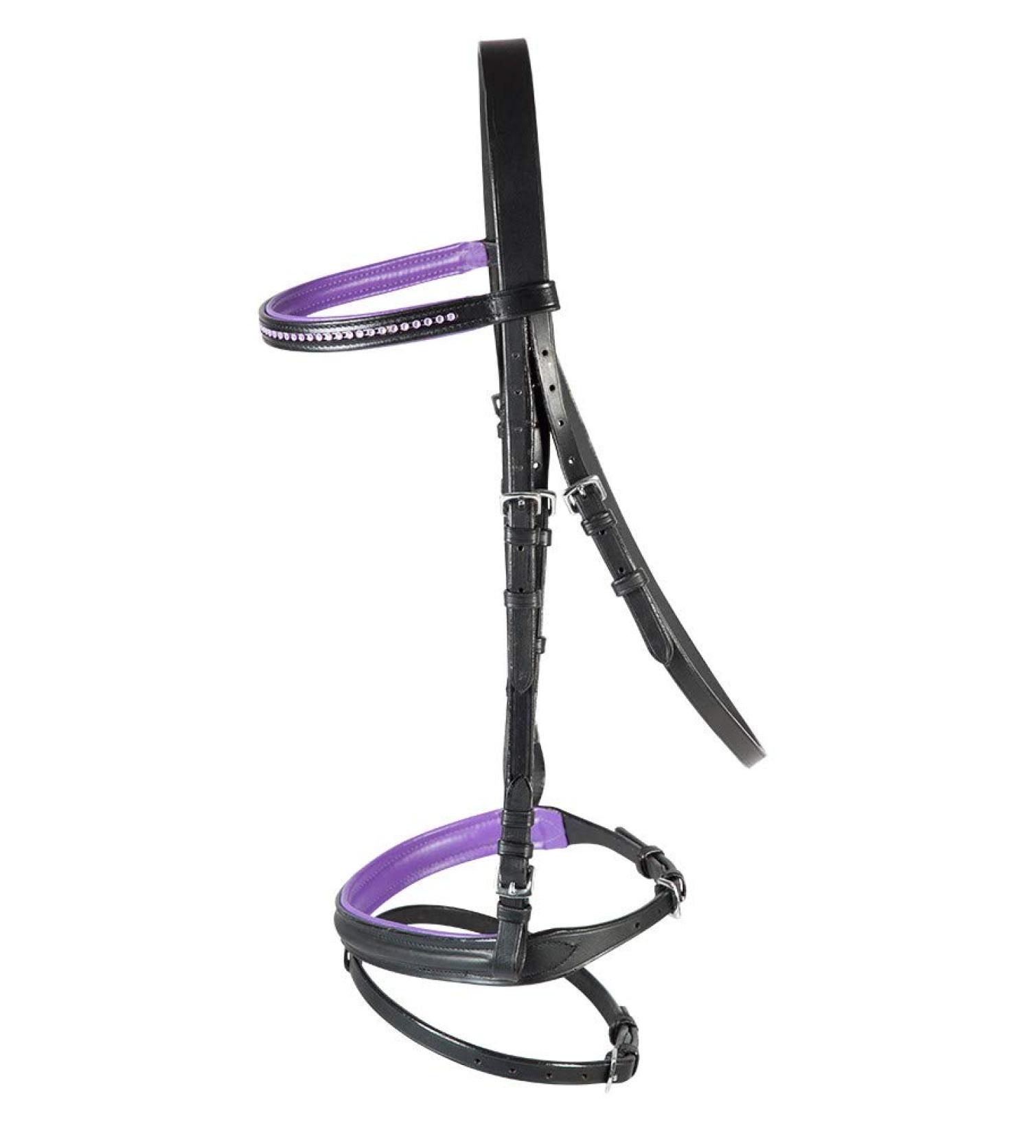 PFIFF bridle Staines black-purple Mini-Mini-Shetty MMS Black / Purple