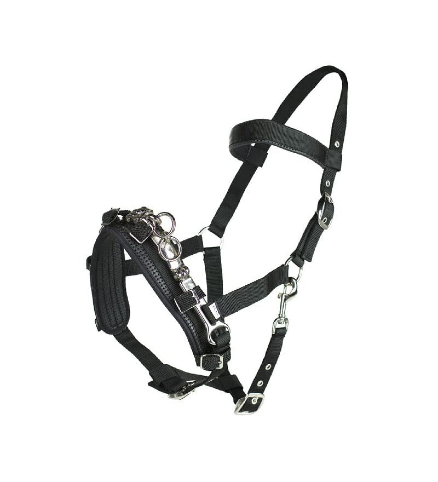 Horze Nylon Lunging Cavesson - Black Cob - Adjustable Training Headcollar - Buy Online on SooperMarket.com