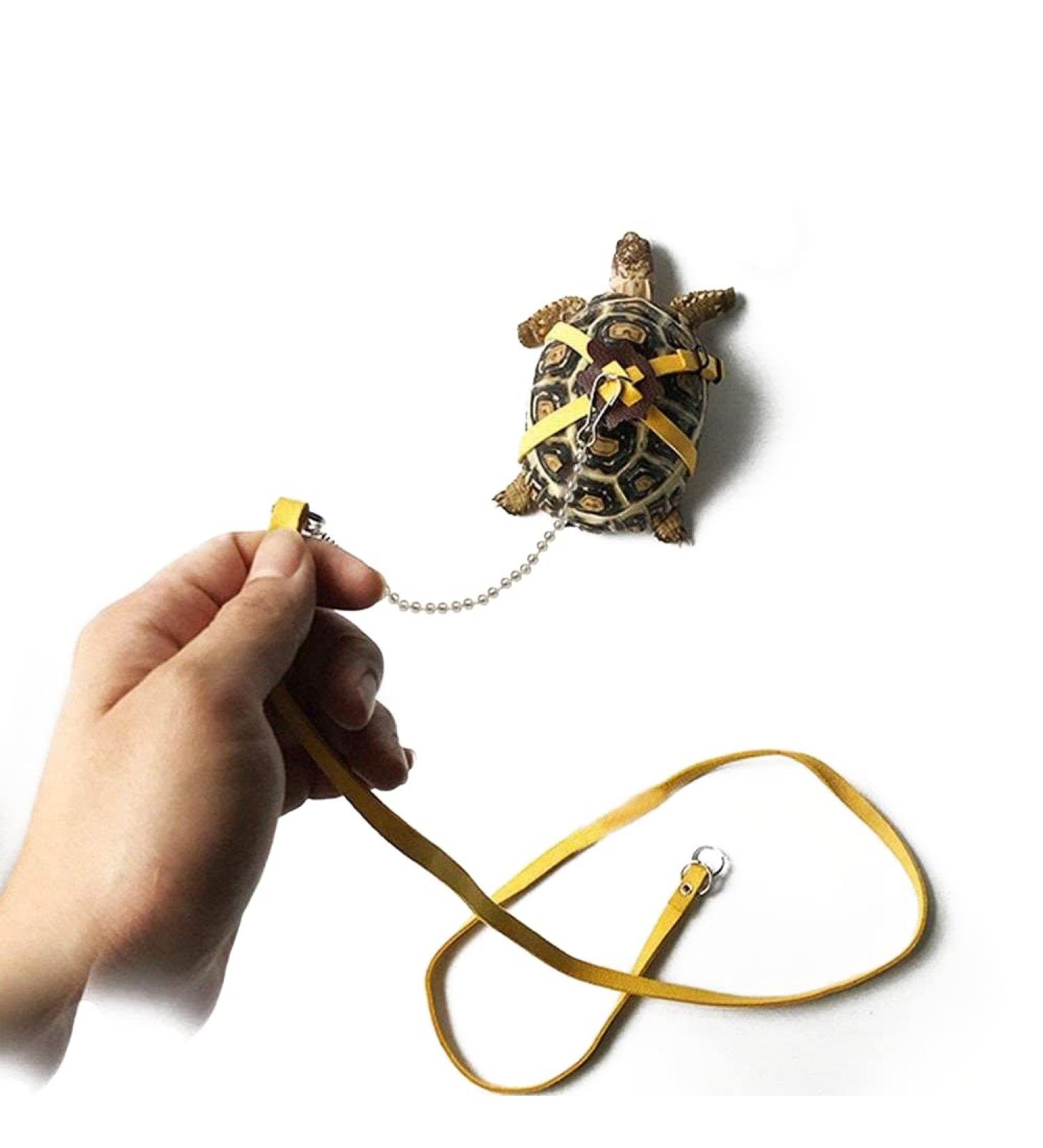 Leather Harness Strap for Tortoise Adjustable Small Pet Harness Reptile Leash Turtle Leash Pet Walking Lead - Buy Online on SooperMarket.com