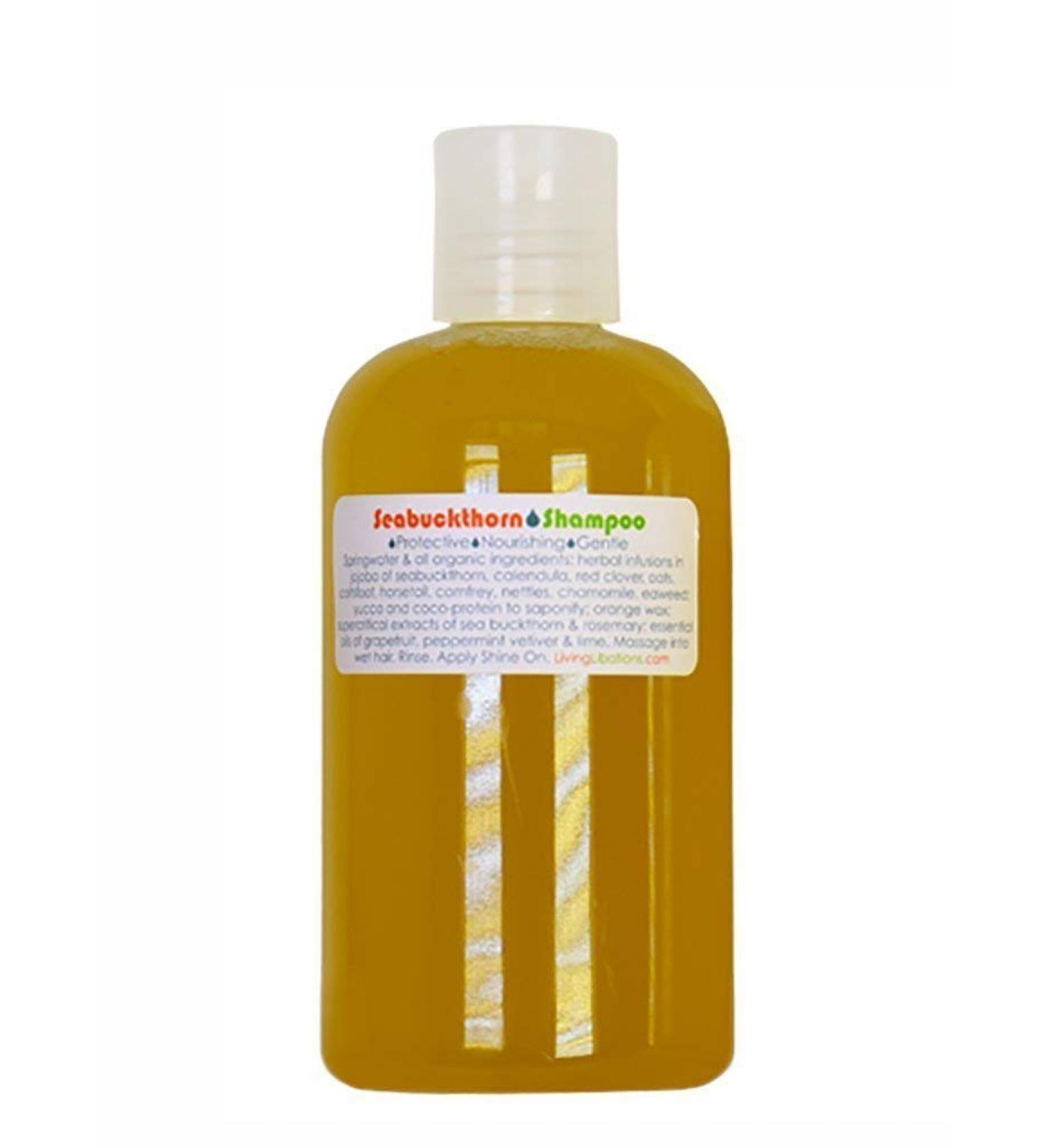 Living Libations - Organic/Wildcrafted Seabuckthorn Shampoo (8 fl oz / 240 ml)