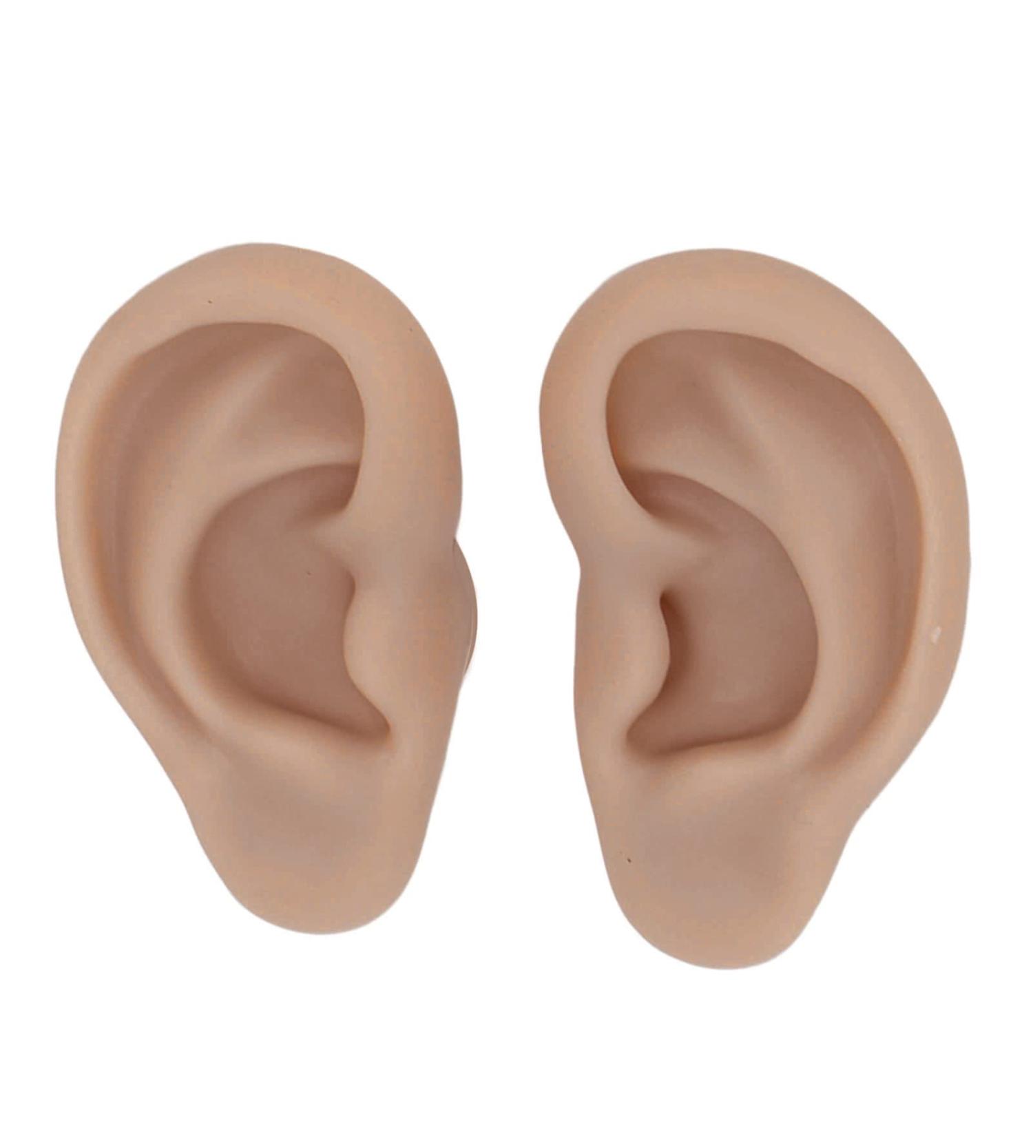 Artificial Ear Model Flexible Reusable Simulation Silicone Ear Model Convenient for Ear Piercing Exercise for Earrings Display(Deep Skin Color) - Buy Online on SooperMarket.com