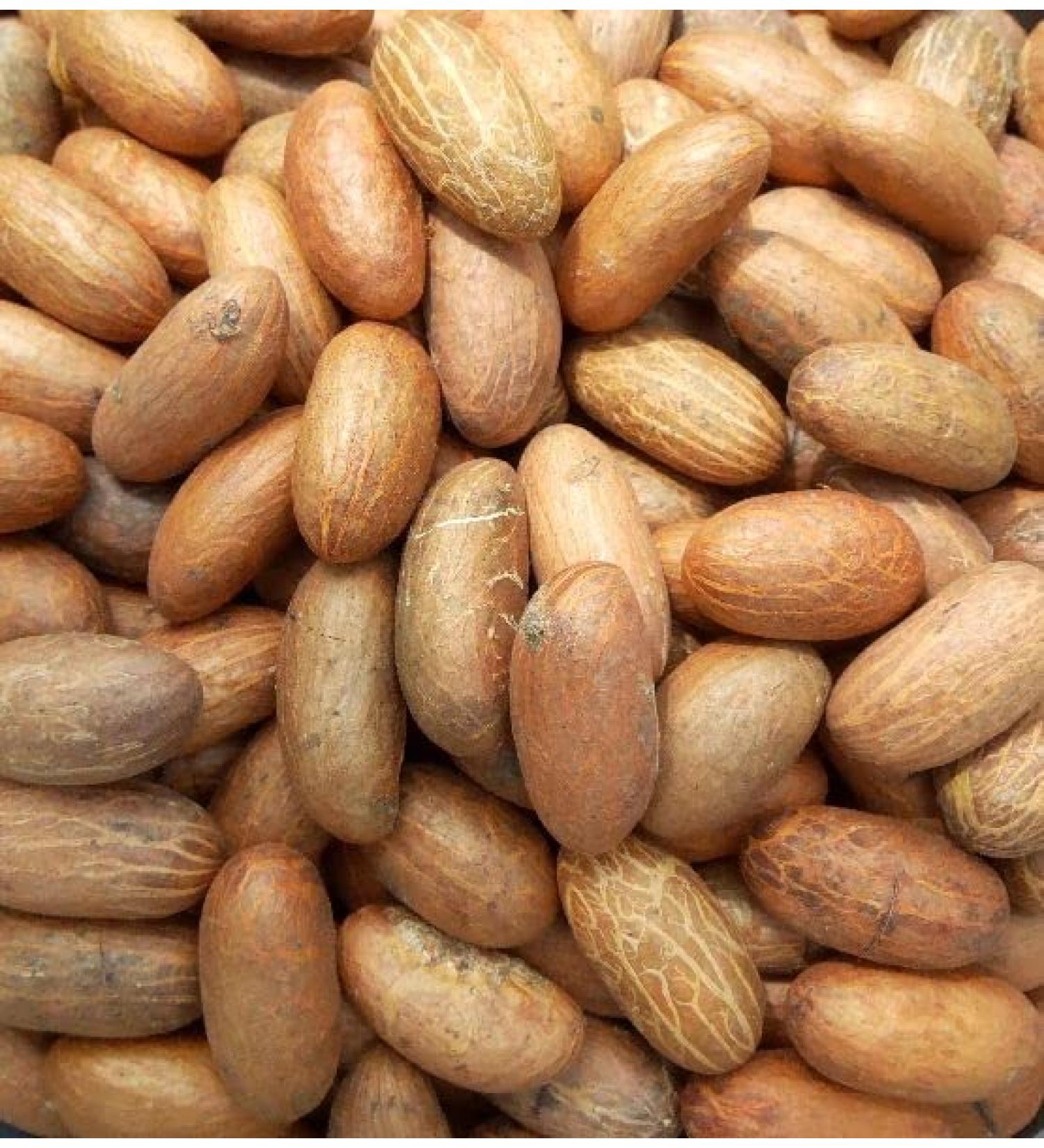 Fresh African Bitter Kola Nut Garcina Kola (1Kg) 1.0 Kilograms