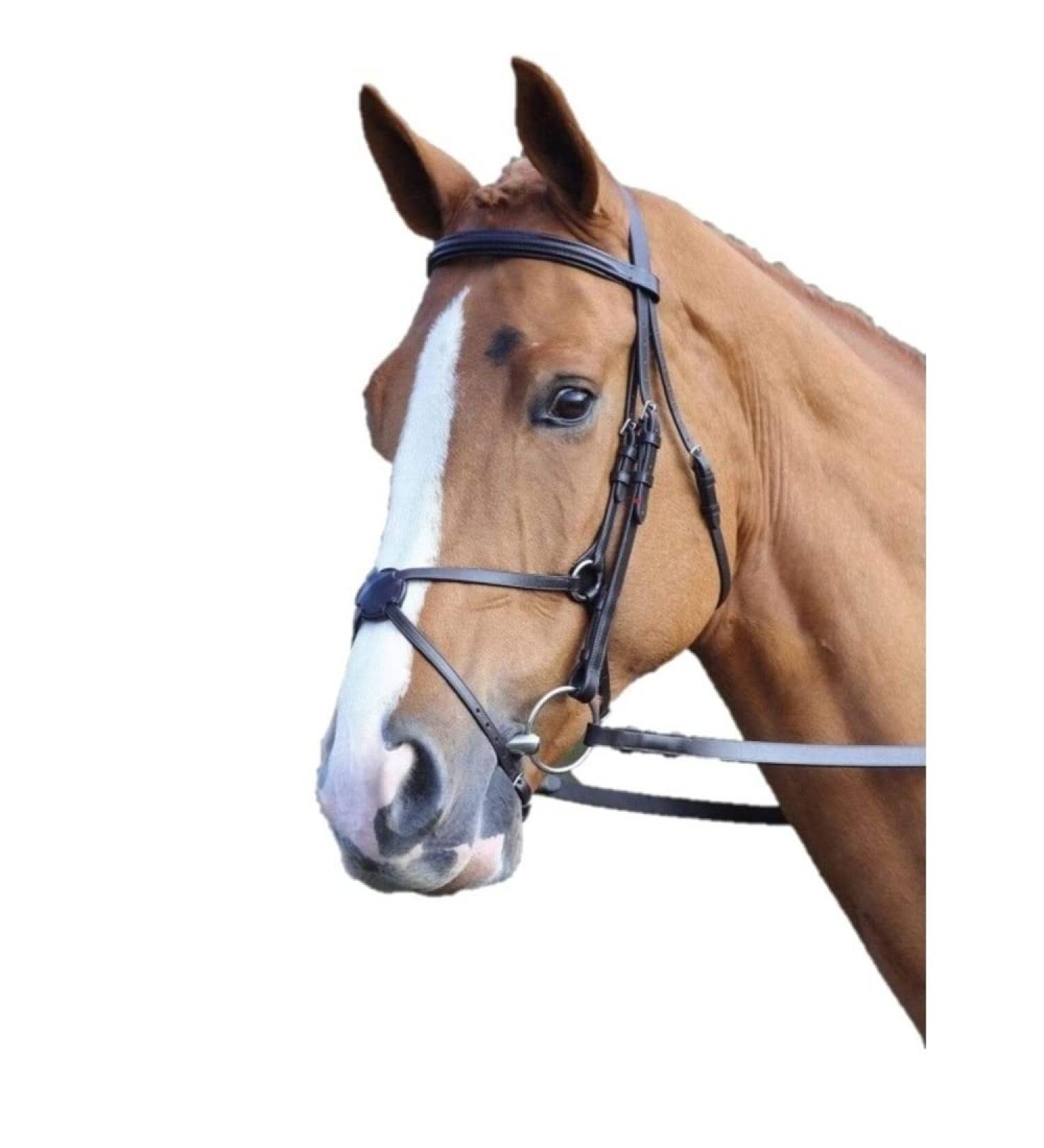 Shires Aviemore/Velociti Mexican Bridle 5004 Black Cob
