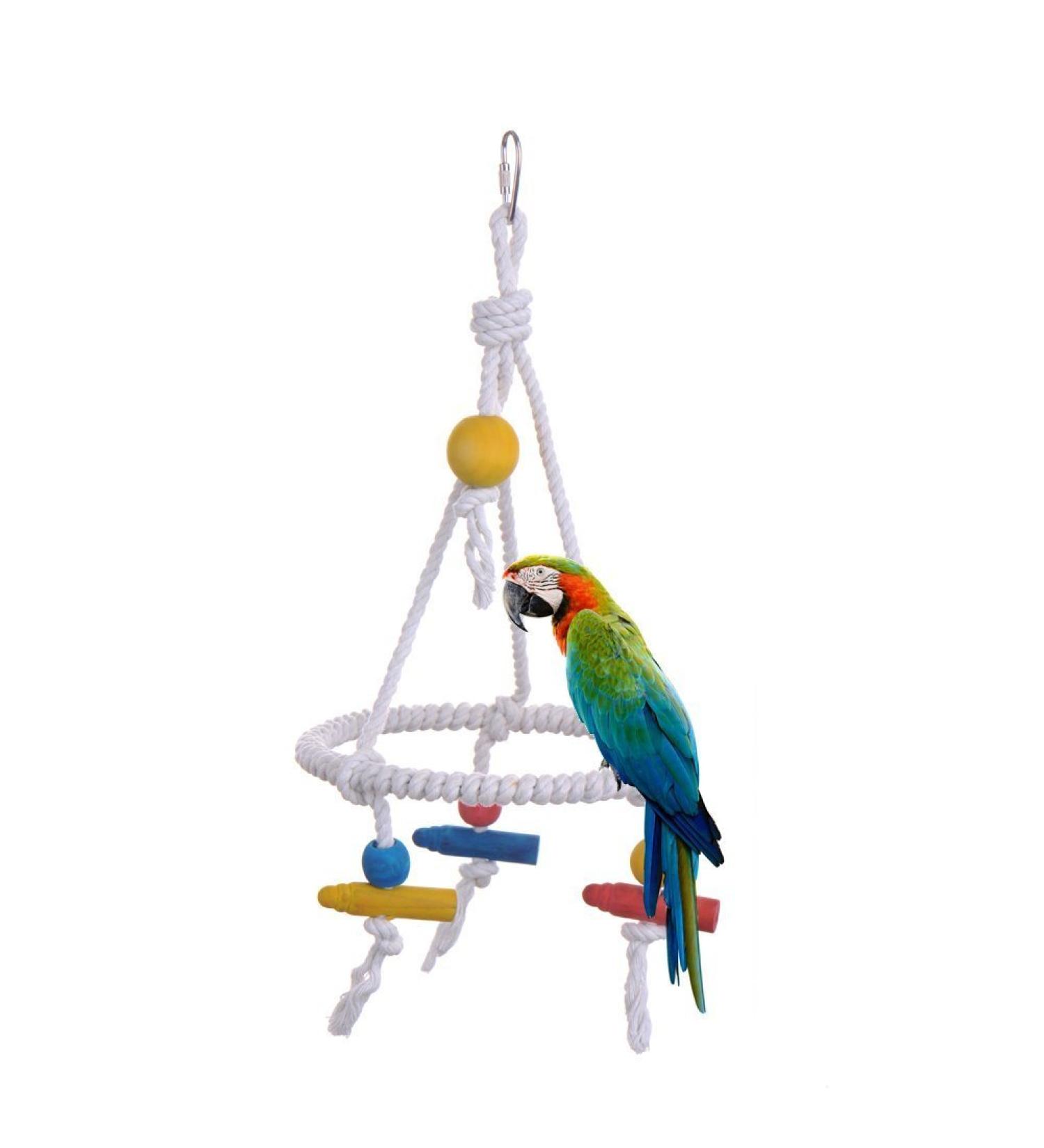 Hypeety Pet Bird Swing Toy - Round Cotton Rope Hanging Hammock for Parakeet, Budgie, Cockatiel - Fun Tri Toy for Cage Enrichment - Buy Online on SooperMarket.com