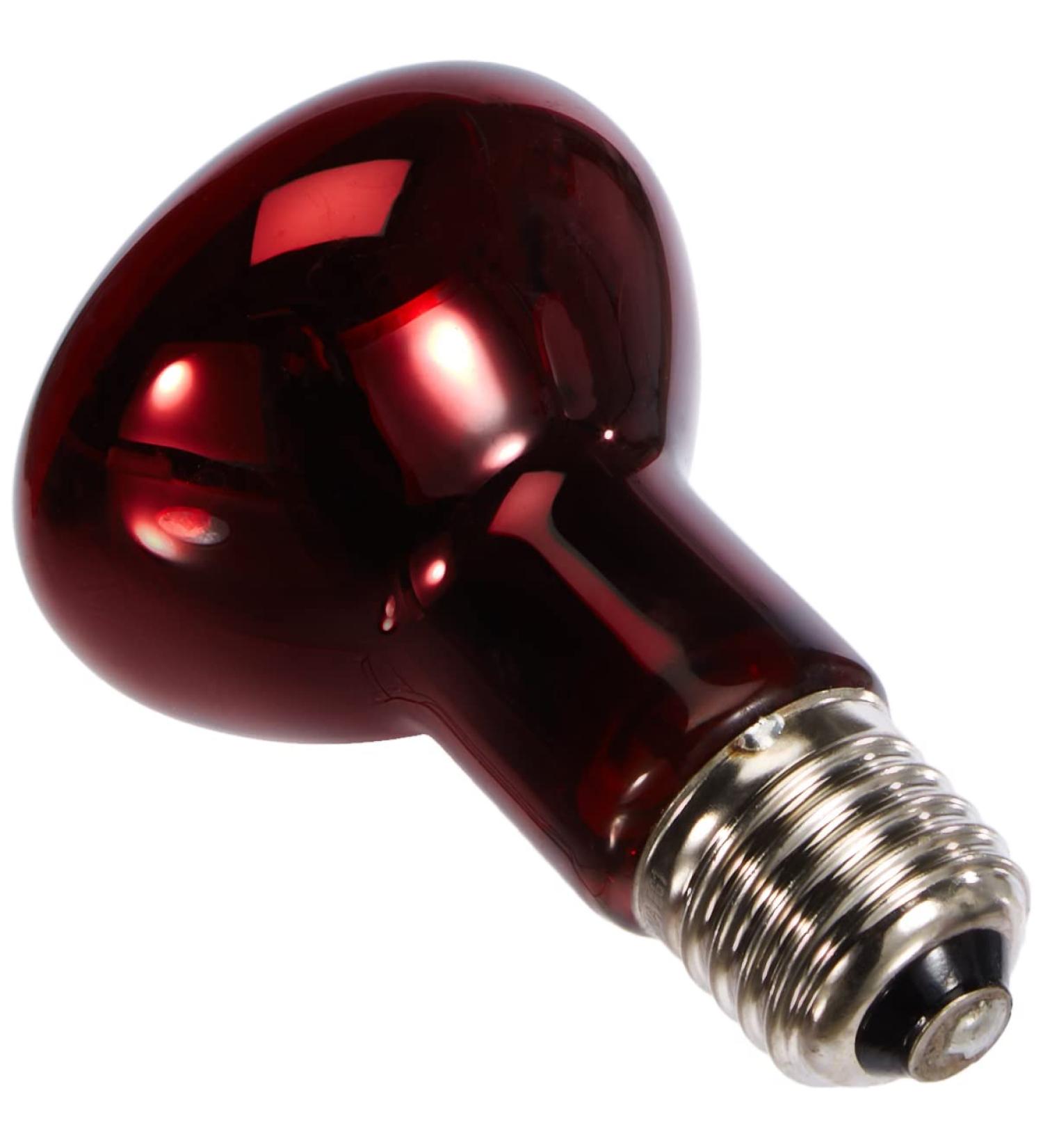 Exo Terra Infrared Basking Spot Lamp 75 W 1 Count (Pack of 1) 75 Watt - Buy Online on SooperMarket.com