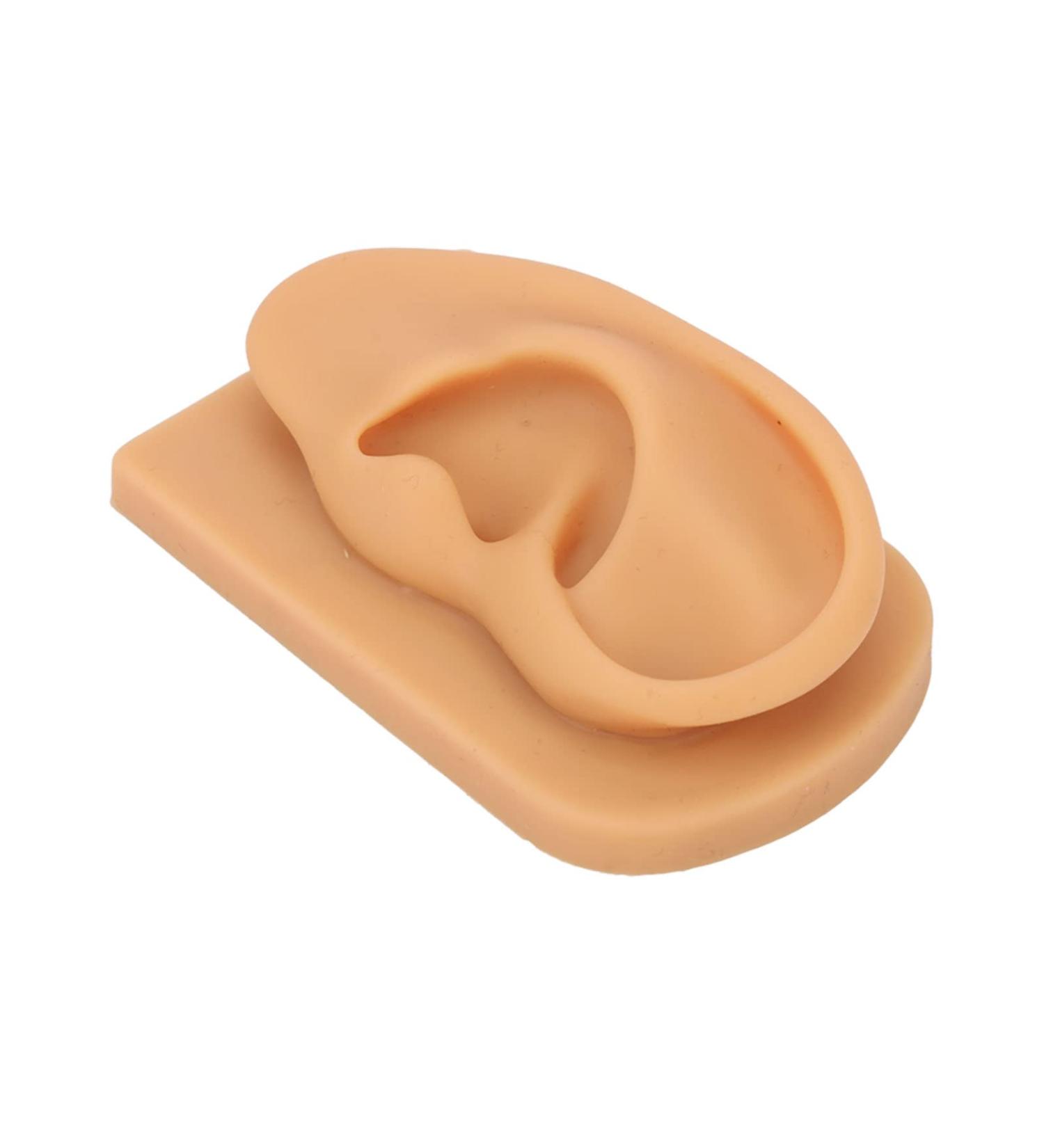 Waterproof Silicone Right Ear Model for Science Education - Easy to Observe & Prevent Damage - Buy Online on SooperMarket.com