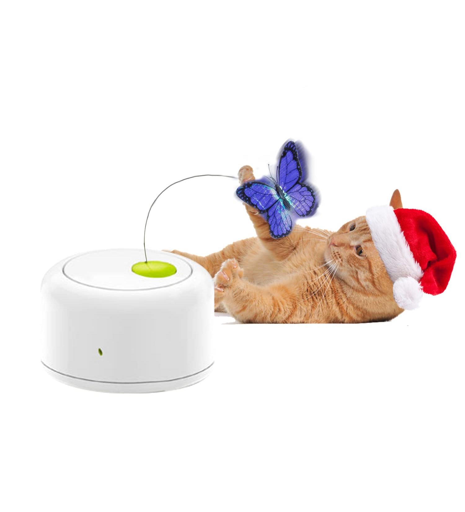 Interactive Cat Toy - All For Paws Flutter Bug Wand with Motion-Activated Butter-fly - Buy Online on SooperMarket.com