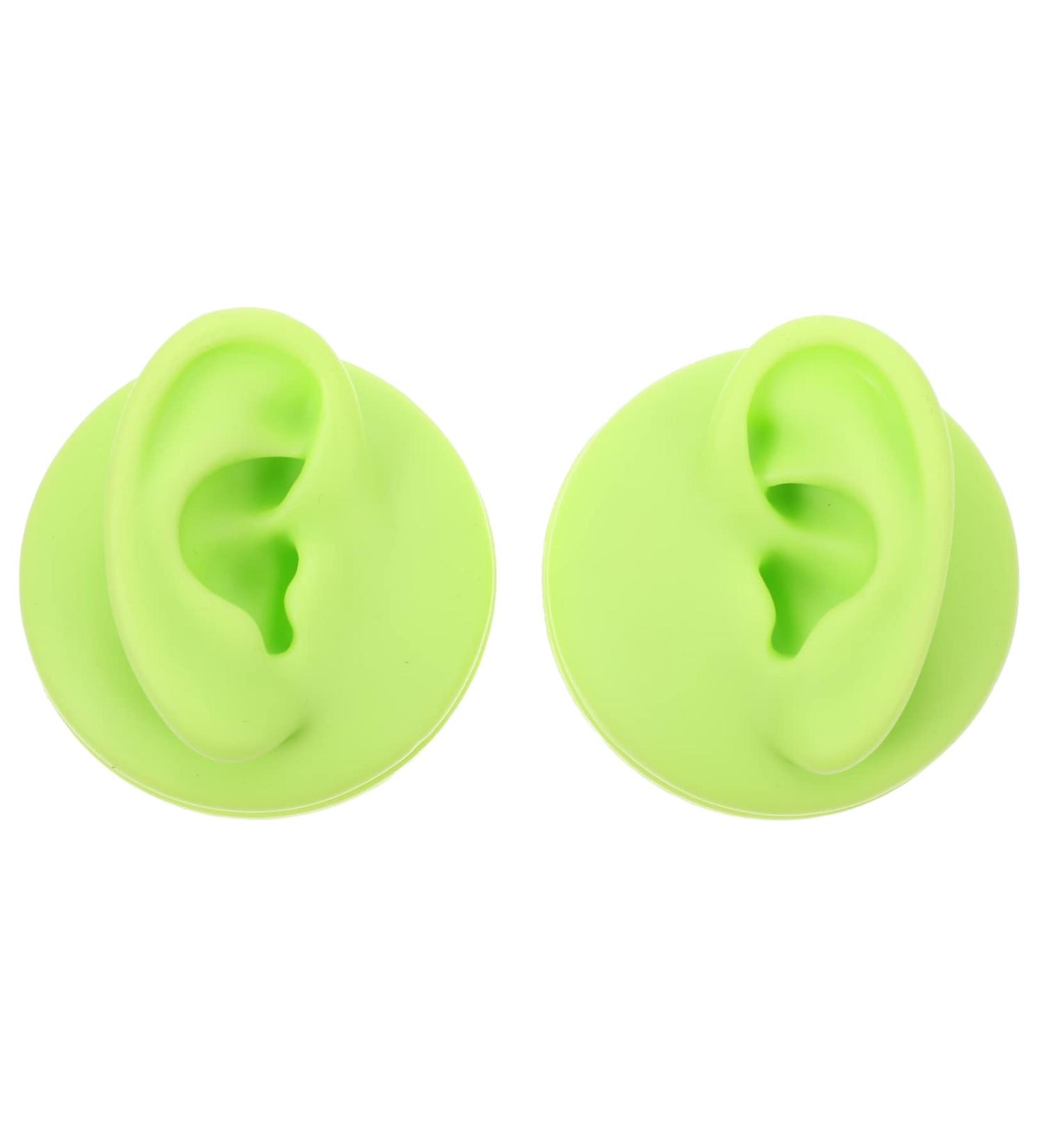 Healeved 2pcs Colored Earring Molds Teaching Aid - Green 3D Human Ear Model - Buy Online on SooperMarket.com
