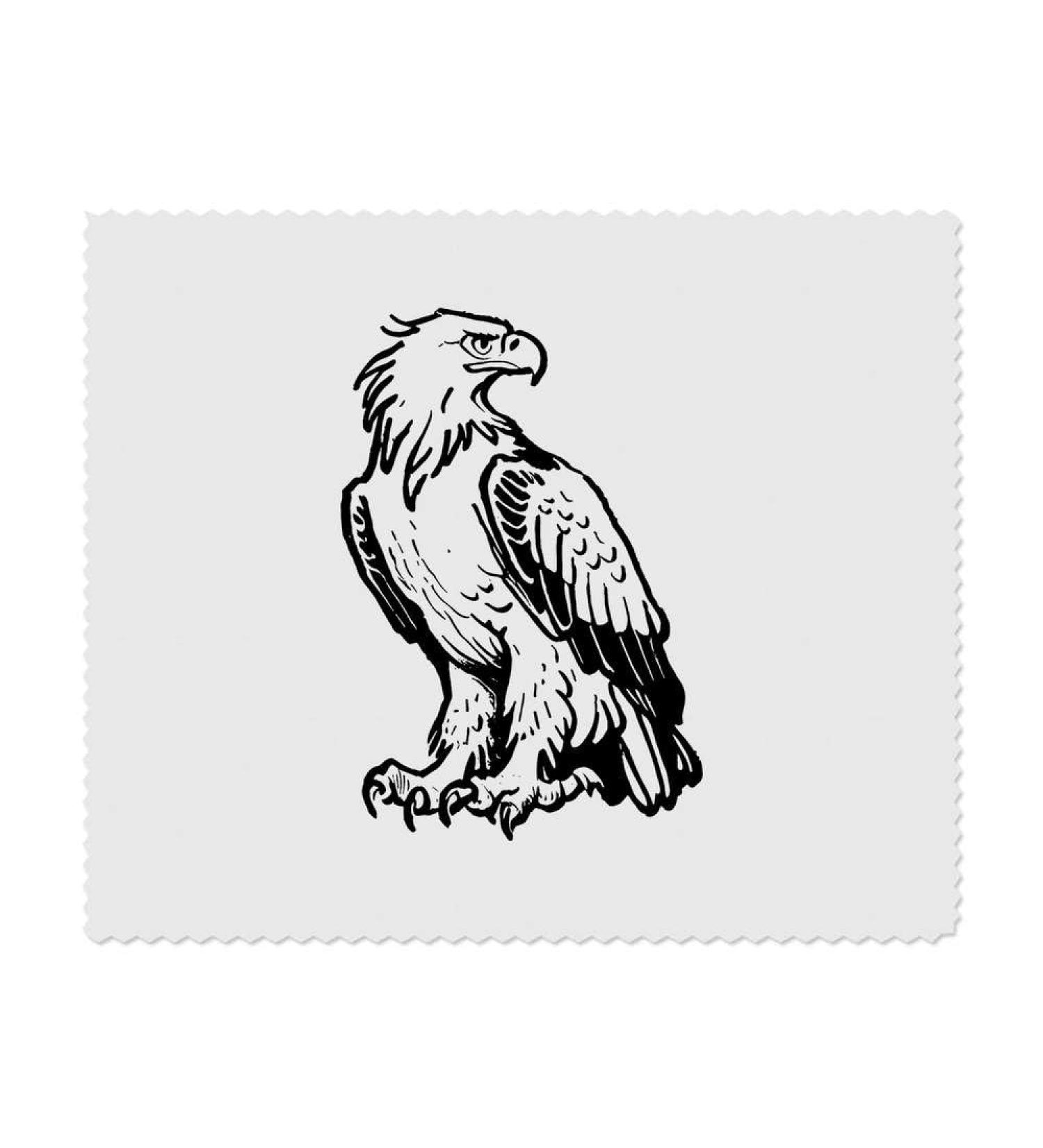 Buy 2 x Majestic Eagle Microfiber Cleaning Cloths - Premium Quality Eco-Friendly International Shipping - Buy Online on SooperMarket.com