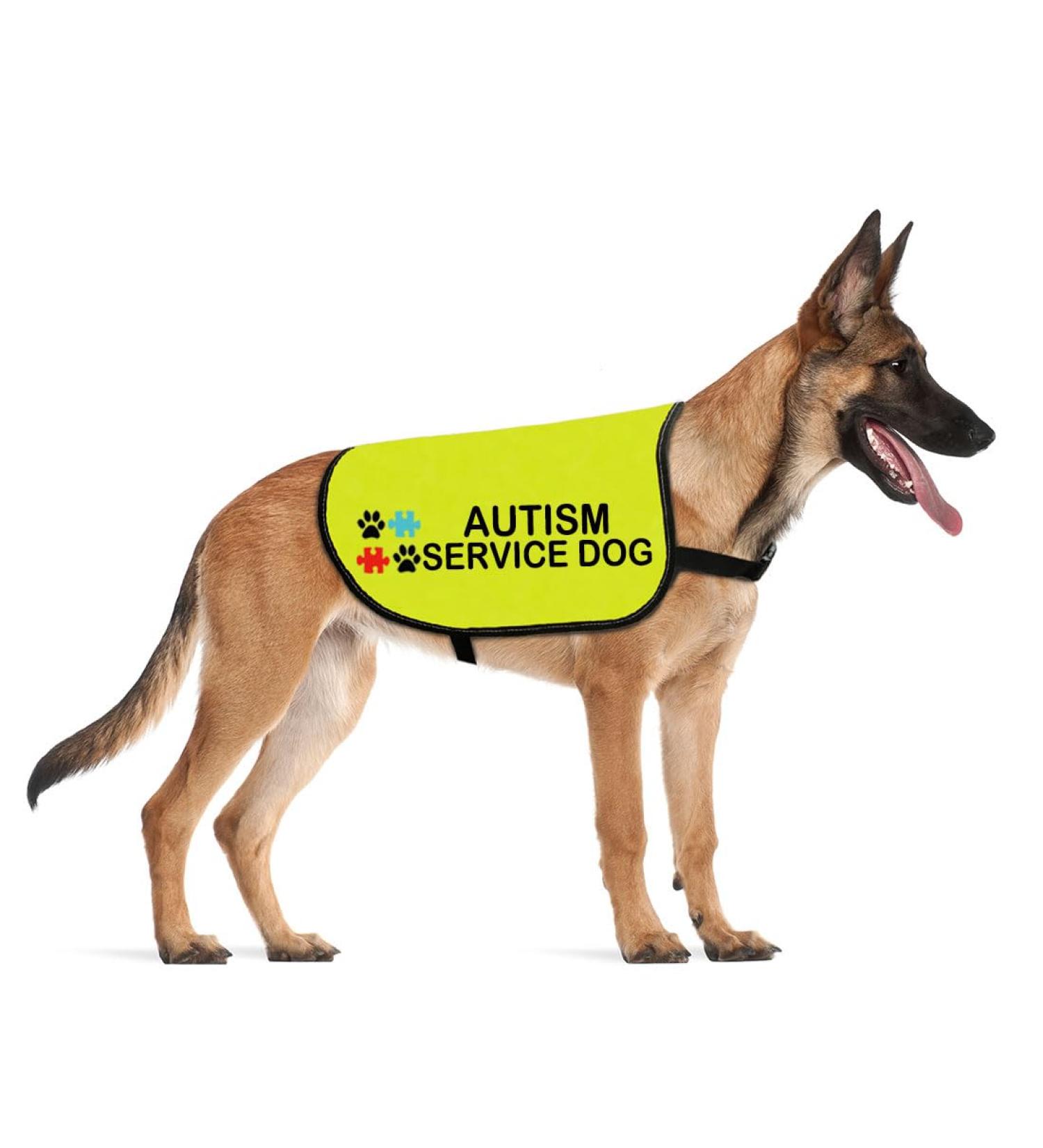 CENWA Autism Service Dog Jacket Vest Autism Dog Autism Alert Dog Autism Service Dog Slogan Warning Vest Autism Service L EU - Buy Online on SooperMarket.com