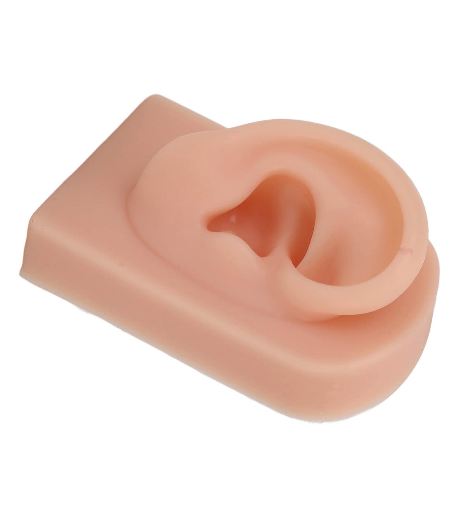 Flexible and Comfortable Human Ear Model for Acupuncture Training (Dark Skin Color) - Buy Online on SooperMarket.com