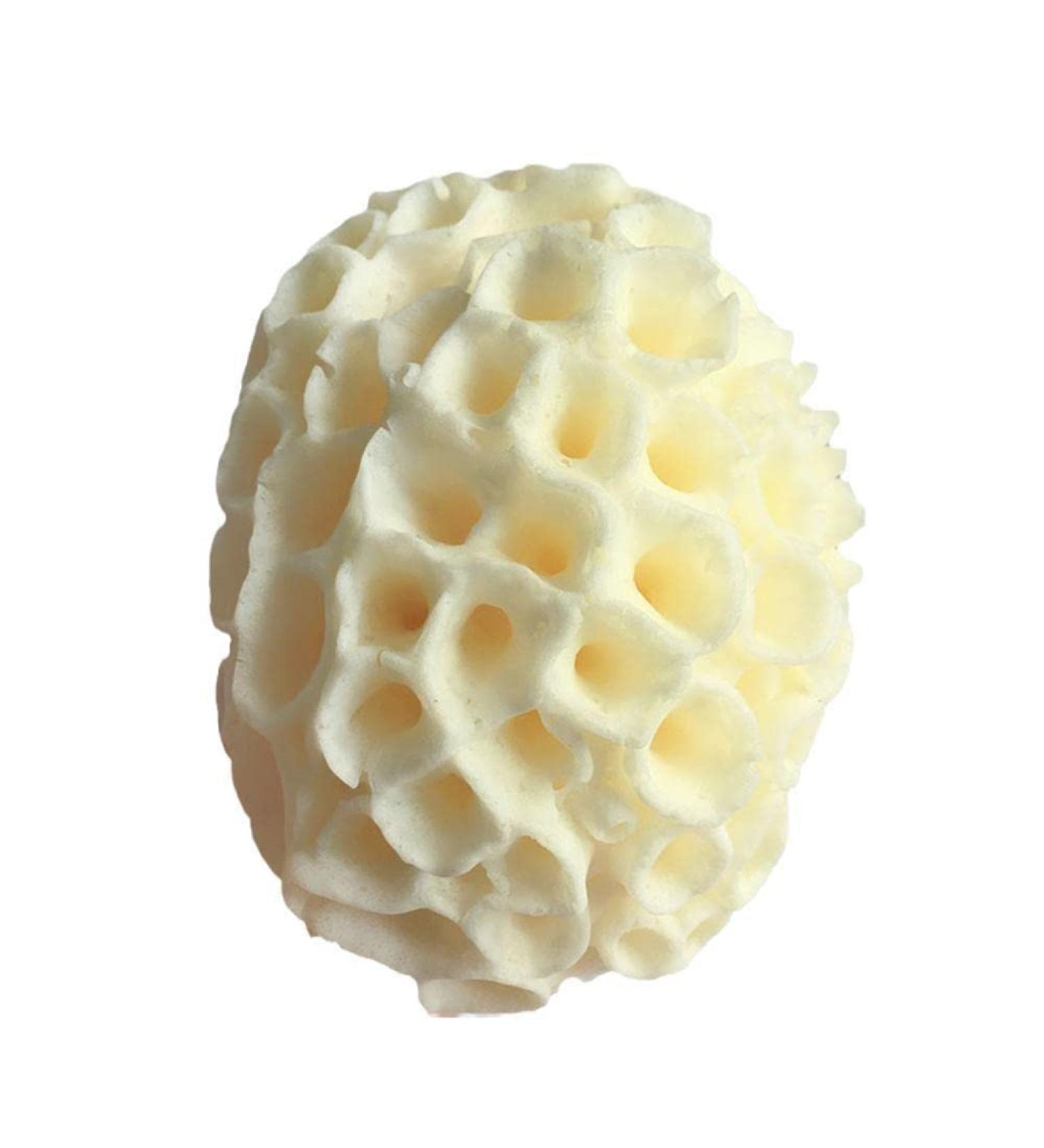 PLGEBR Natural Sea Wool Sponge - Exfoliating Dead Skin Remover for Body Shower Pouf - Buy Online on SooperMarket.com
