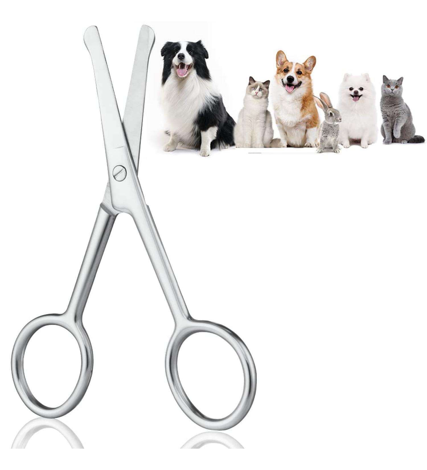 Buy Adiwo 10.5 cm Stainless Steel Dog Hair Scissors | Rounded Fur Scissors for Perfect Coat Care | International Shipping - Buy Online on SooperMarket.com
