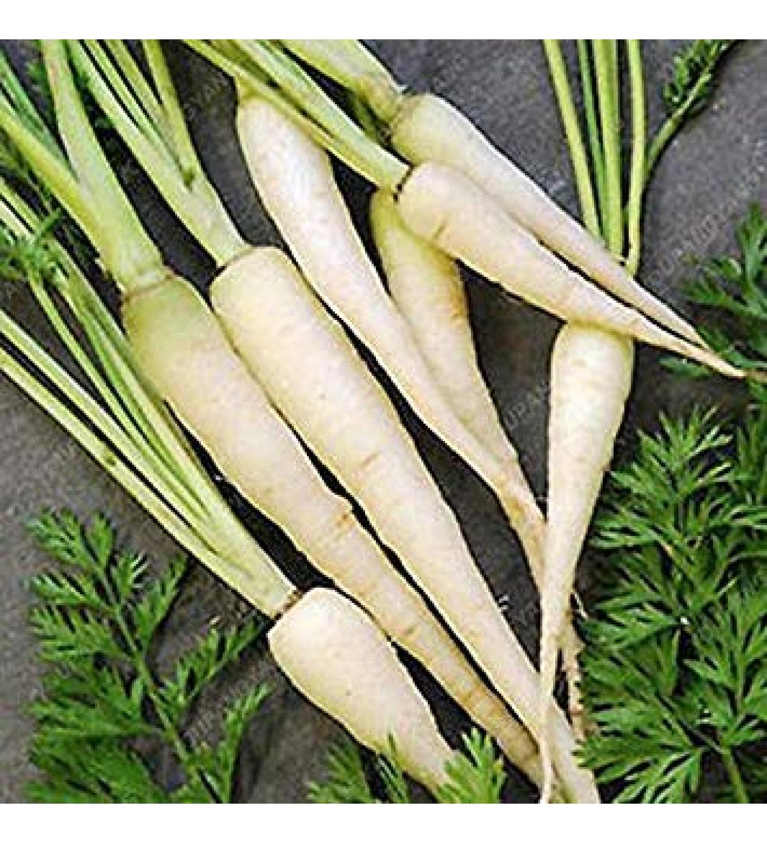 100 Lunar Bianco Carota Semi Speciali per Taste nutriente Verdure Insalate FAI da Te Cucina Deliziosa Semi di Verdure per casa