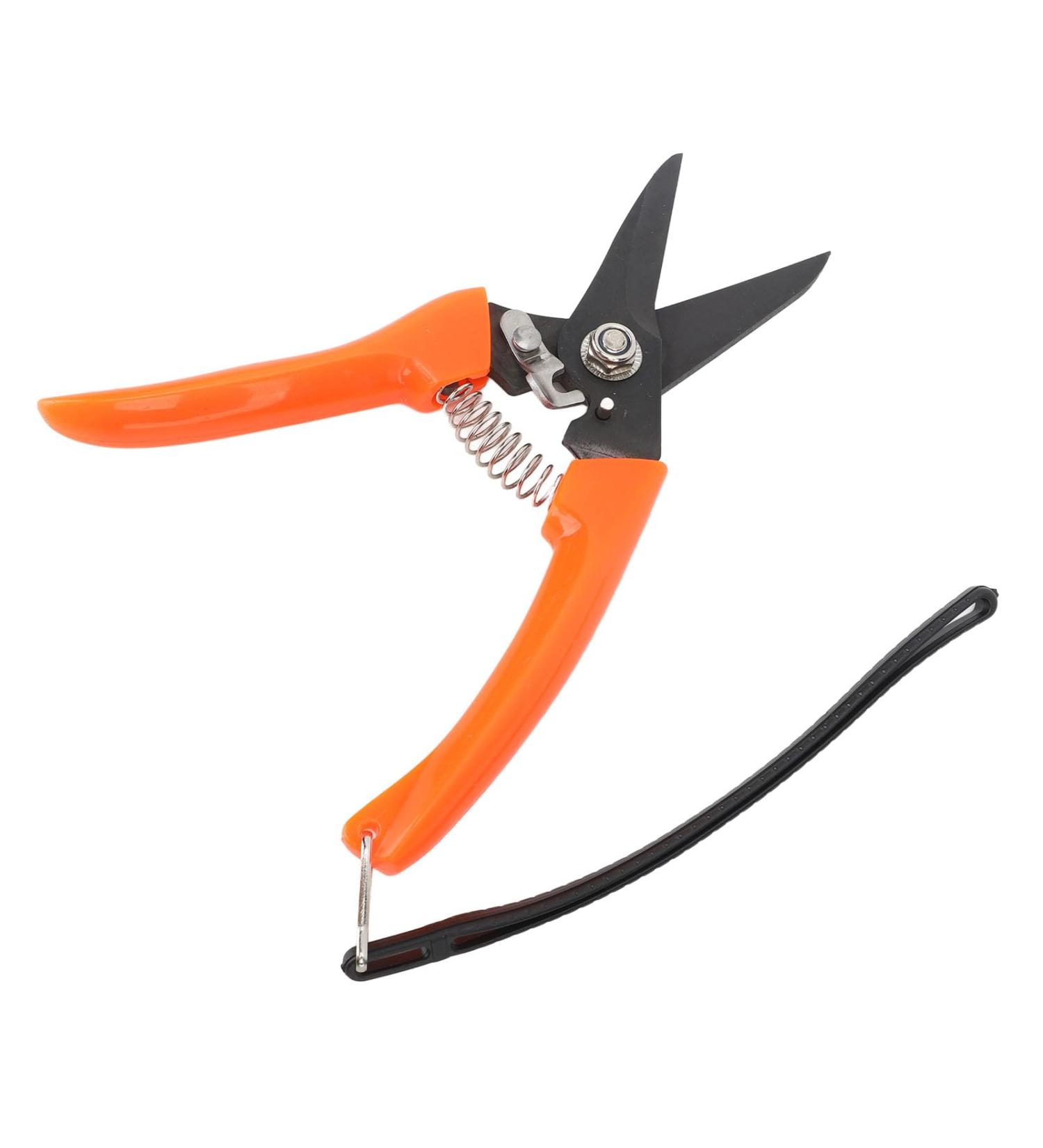 Buy High Carbon Stainless Steel Hoof Shears for Goats | Safe & Durable - International Shipping - Buy Online on SooperMarket.com