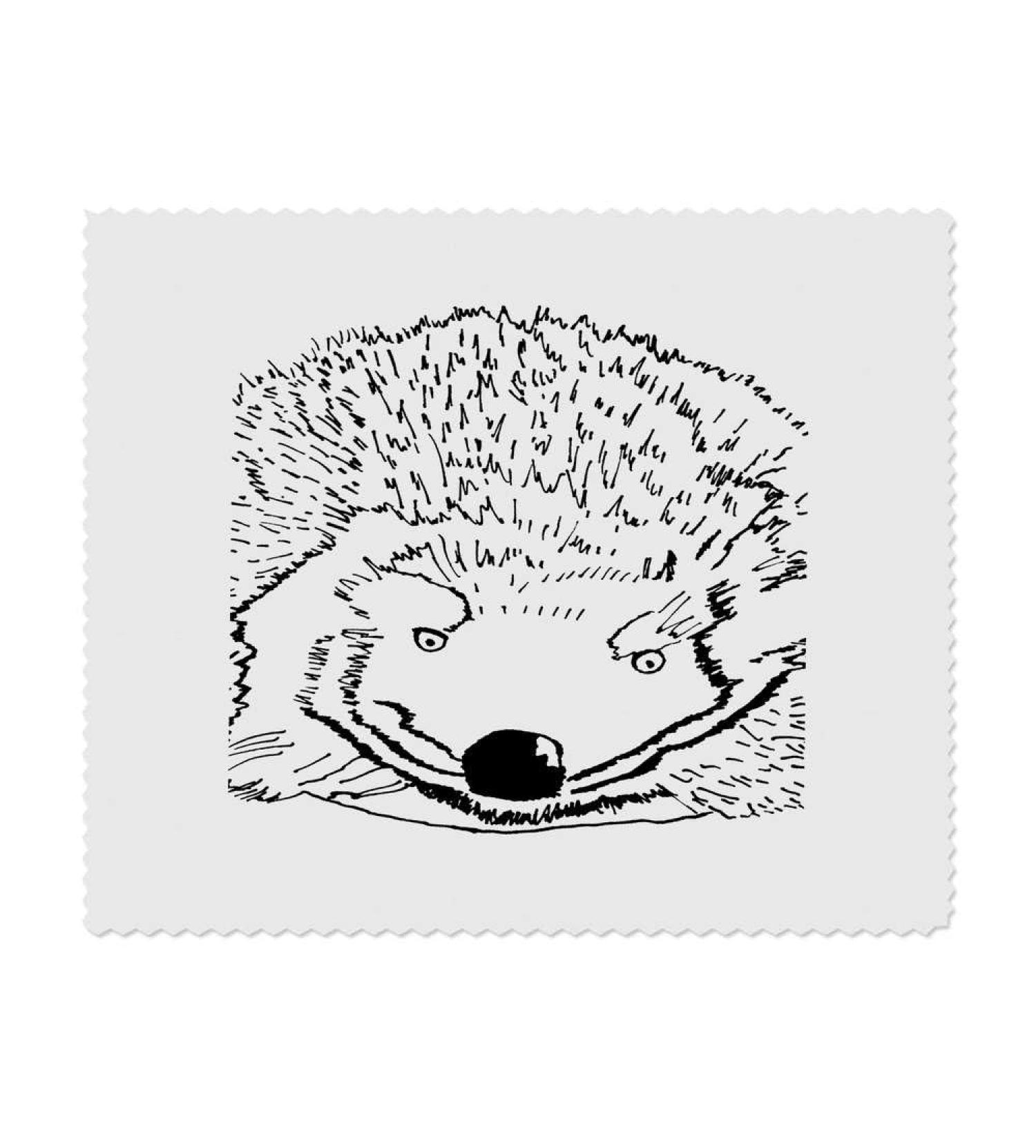 Buy 2 x Hedgehog Microfiber Cleaning Cloths - Ultra Absorbent & Durable | International Shipping Available - Buy Online on SooperMarket.com