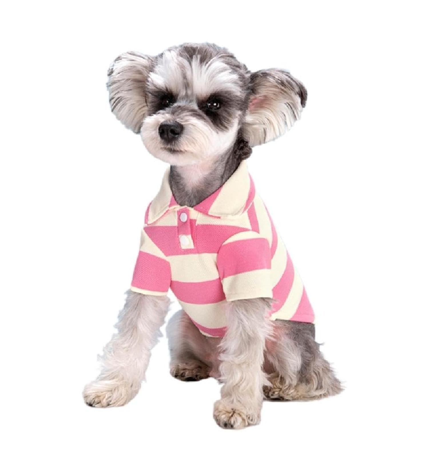 Stylish Striped Polo Shirt for Small Dogs | Summer T-Shirt Costume for Bichon & French Bulldog - Breathable Pink 3X Large - Buy Online on SooperMarket.com