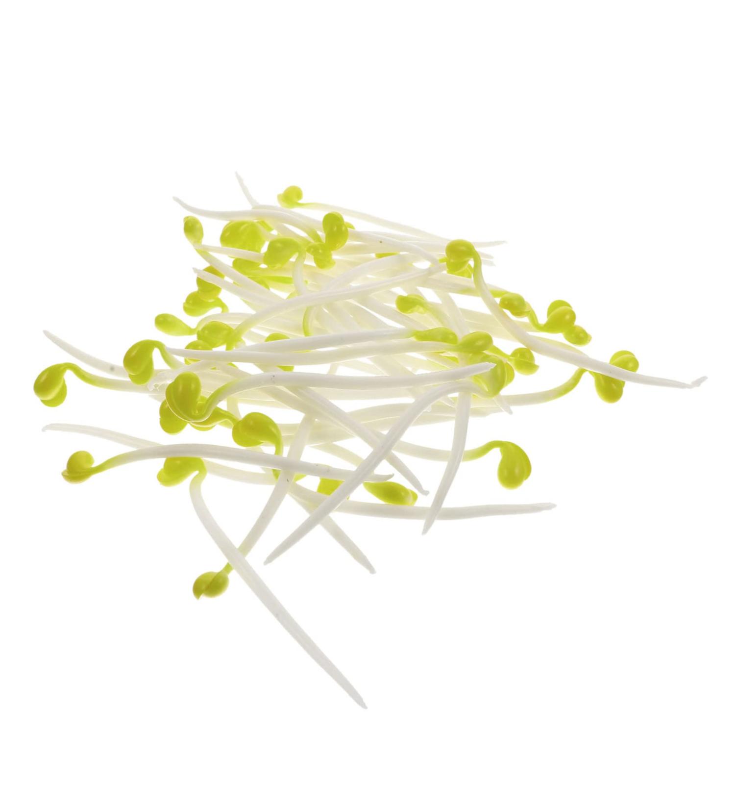 Alipis 100 Pcs Bean Sprouts Toy Small Plant Lifelike Bean Sprout Decoration for Home Faux Plants Delicate Bean Sprout Food Decor Wedding Decor Fruit Toys Pvc Artificial Household Products - Buy Online on SooperMarket.com