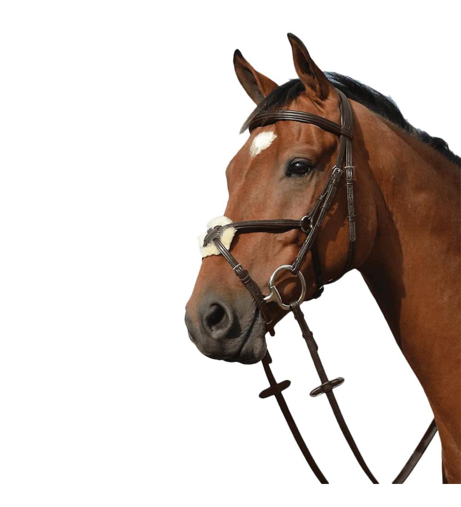 Collegiate Syntovia+ Padded Raised Grackle Bridle Brown Cob