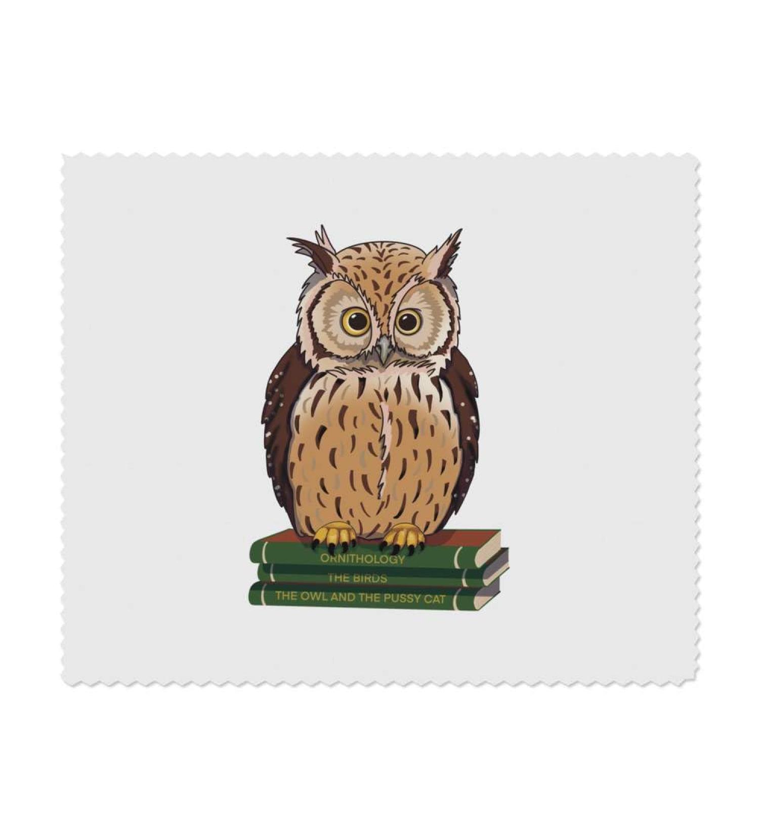 Azeeda Owl on Books Microfiber Glasses Cleaning Cloths - Pack of 2 | International Shipping Available - Buy Online on SooperMarket.com