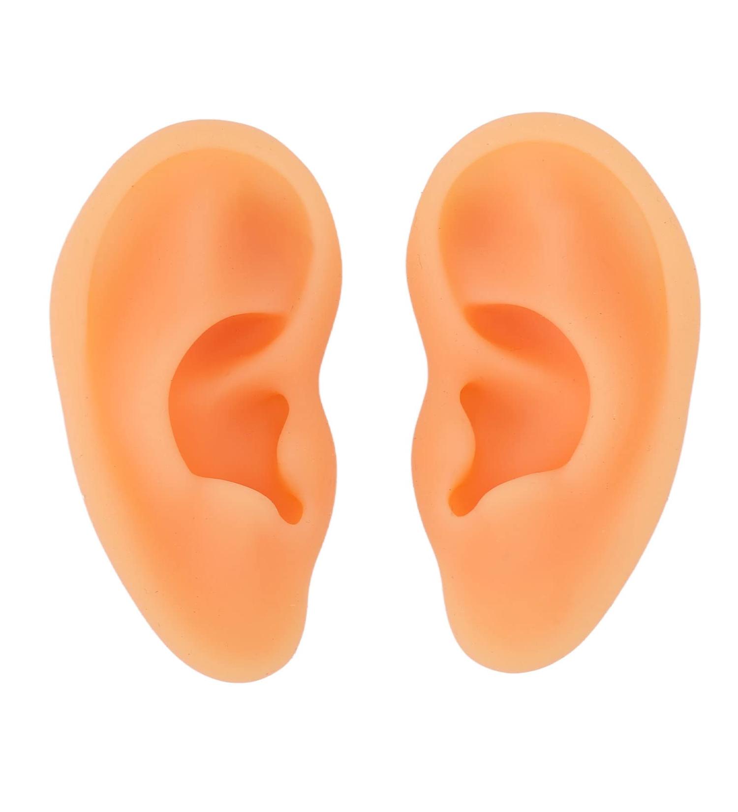 Ear Model ANGGREK 2 Pieces Ear Modeling Tools Hearing Amplifier Dispalying Assistance Display Ear Model Ear Wraps for Teaching Replacement - Buy Online on SooperMarket.com