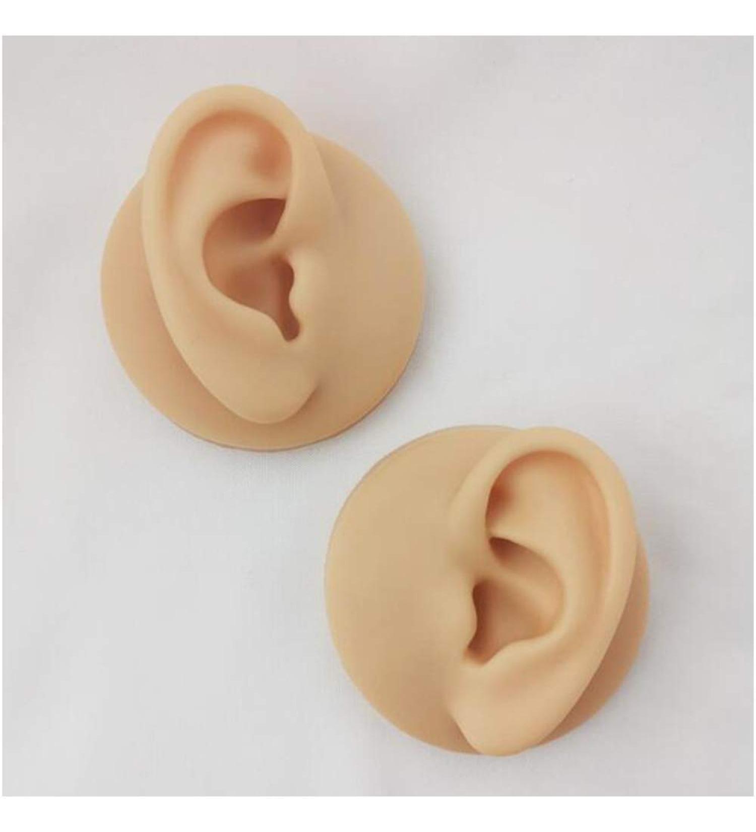 Silicone Ear Model - Human Ear Model Simulation - for Human Body Piercing Acupuncture and Moxibustion Ear Practice Ear Teaching - Buy Online on SooperMarket.com