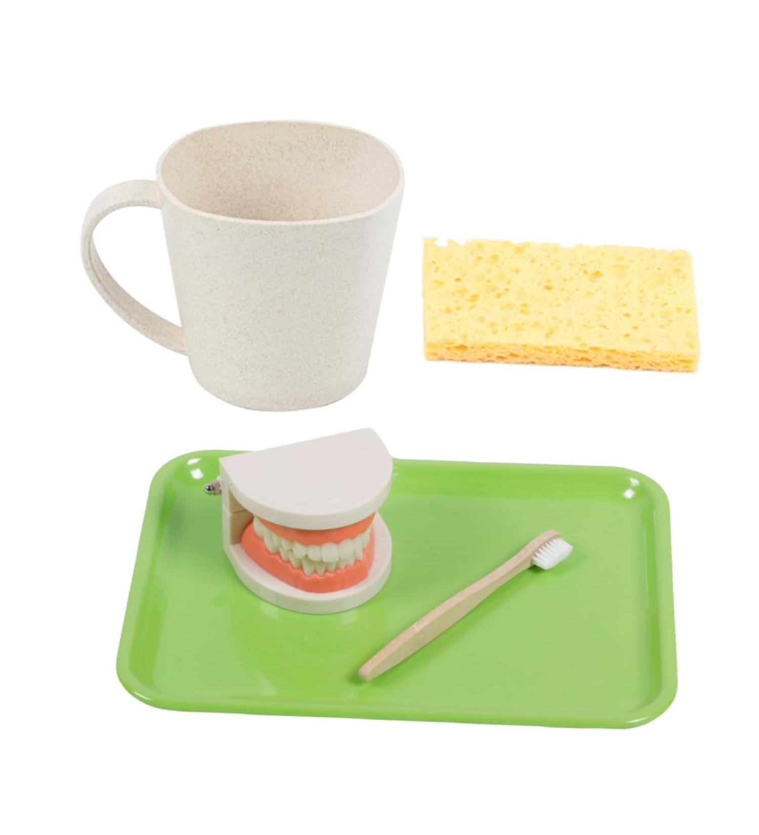 Minkissy Educational Tooth Brushing Toy Set - Early Learning Teeth Model for Kids | Reusable Pedagogical Teaching Tools - Buy Online on SooperMarket.com