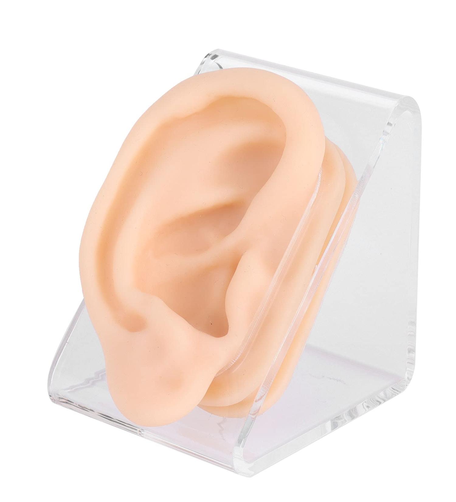 Skin-Friendly Silicone Ear Acupuncture Model for Otolaryngology Centers, Pharmacies, and Hospitals - Buy Online on SooperMarket.com