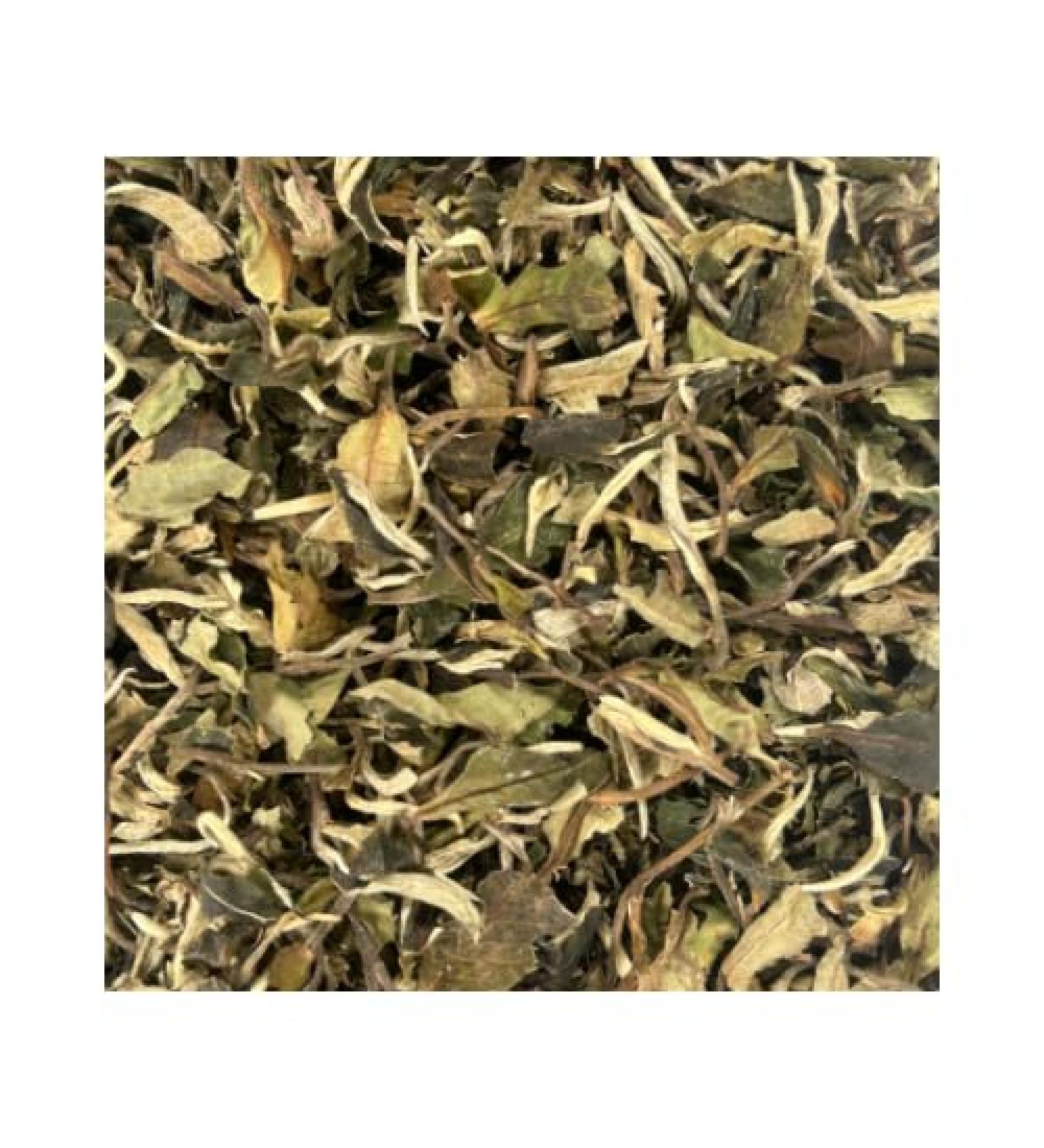 White Tea C/S (1 LB) - Buy Online on SooperMarket.com