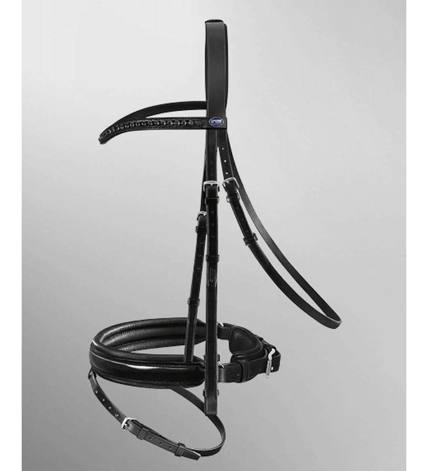 Passier bridle Apollo black patent noseband special with reins size horse: VB Black VB