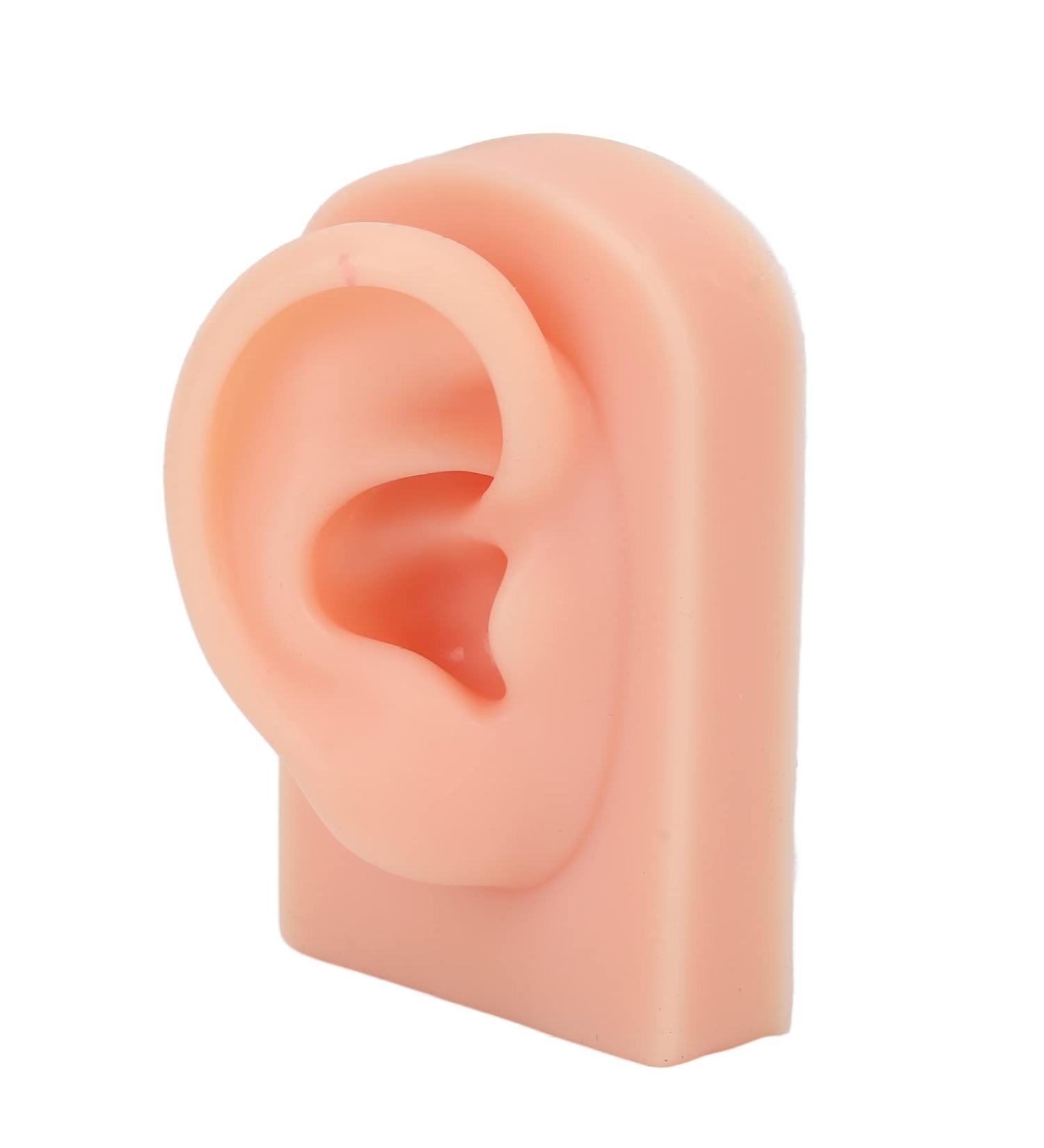 Soft & Flexible Reusable Human Ear Model - Simulated Right Ear for Acupuncture Training - Buy Online on SooperMarket.com